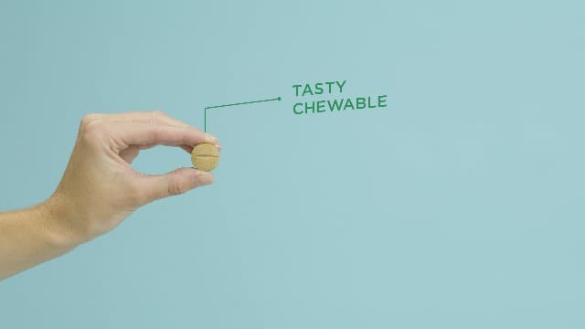 Pet-Tabs Multivitamin and Mineral Supplement for Dogs, Chewable Tablet, 60 Count Bottle - image 8