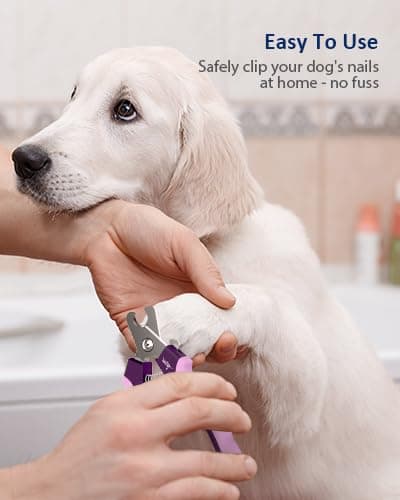 WePet Dog Nail Clippers U10.1, Dog Nail Trimmer Large Breed with Quick Sensor, Razor Sharp Blade Professional Pet Nail Clipper with Safety Guard and Nail File, Purple - image 2