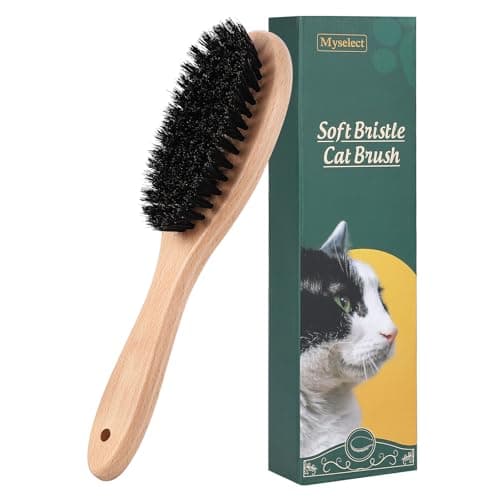 Boar Bristle Cat Brush with Wooden Handle, Soft and Gentle, Reduce Shedding, Make Coat Soft, Smooth and Shinny, Daily Grooming Tool for Short Haired Cats, Kitten - image 8