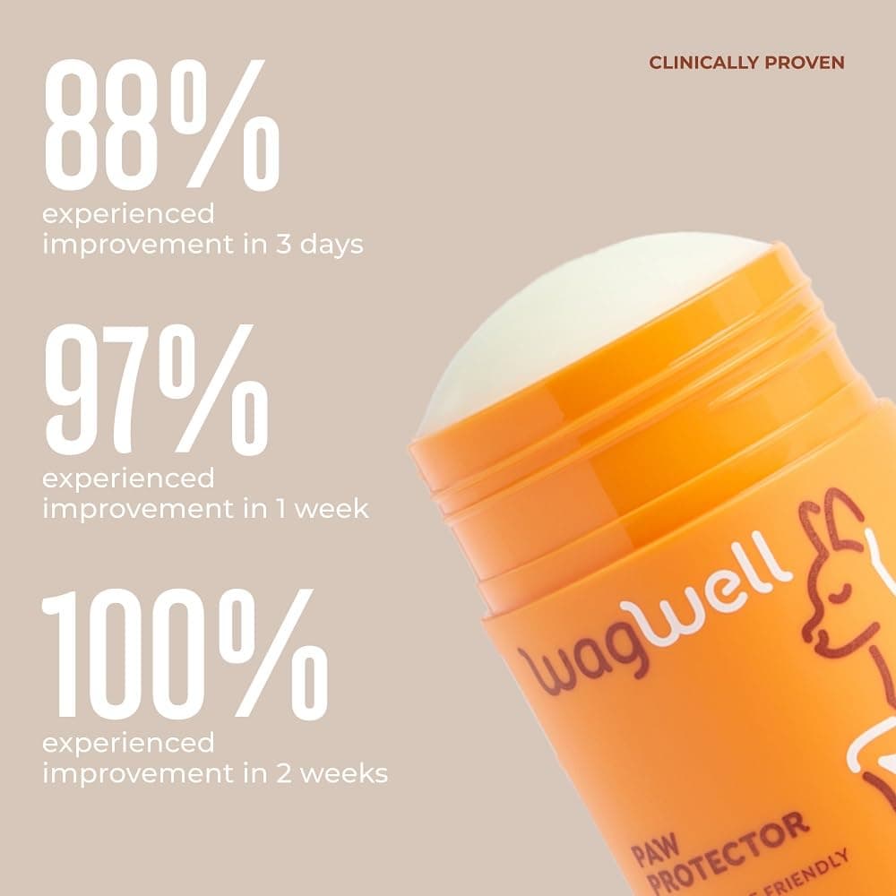 WagWell Paw Protector Dog Paw Balm | Lick-Safe, Vet-Approved Paw & Nose Balm | Microbiome-Friendly, Dermatologist Tested | Hot Pavement & Cold Weather Protection | To Hydrate, Condition & Protect Paws - image 8