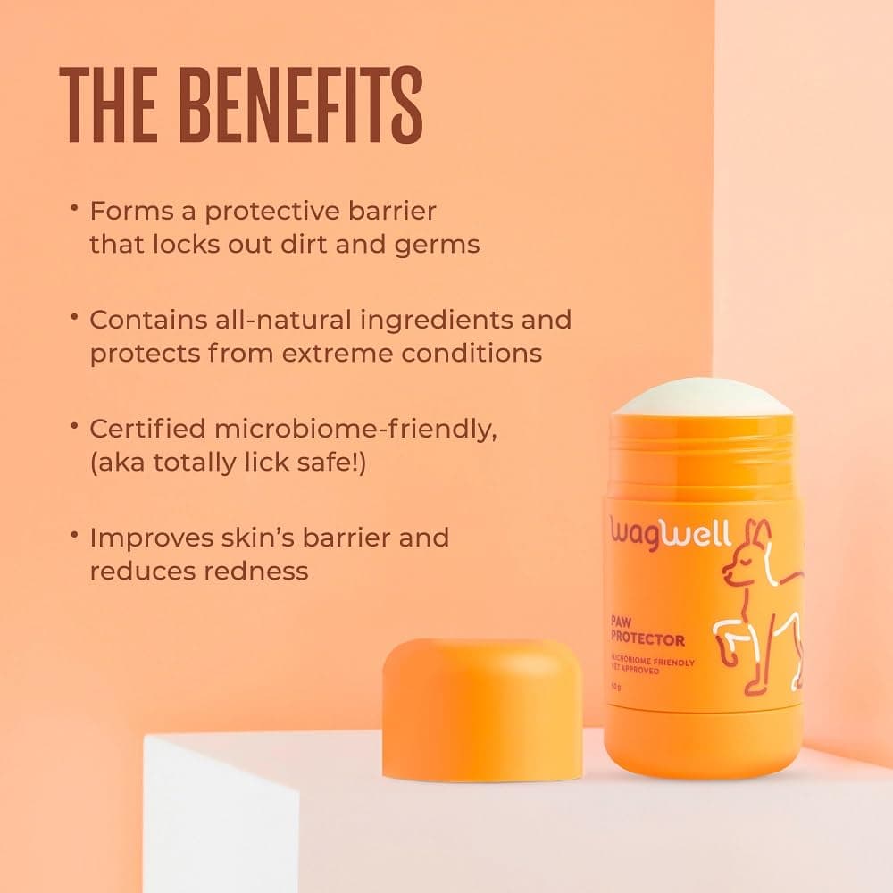 WagWell Paw Protector Dog Paw Balm | Lick-Safe, Vet-Approved Paw & Nose Balm | Microbiome-Friendly, Dermatologist Tested | Hot Pavement & Cold Weather Protection | To Hydrate, Condition & Protect Paws - image 6