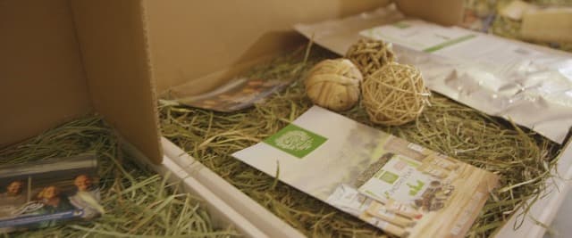 Small Pet Select - Hair Buster Comb for Rabbits, Cats and Dogs, Metal Pet Comb for Shedding and Detangling, Grooming Tool for Small Pets with Long and Short Fur - image 7