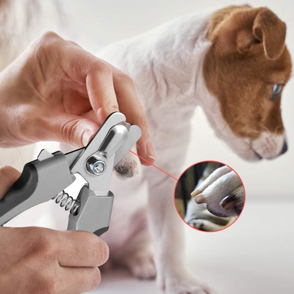 Tpotato Dog Nail Clippers,Dog Nail Trimmers for Large Breed Dog with Quick Sensor,Safari Professional Cat Nail Clipper with Safety Guard and Nail File. - image 4