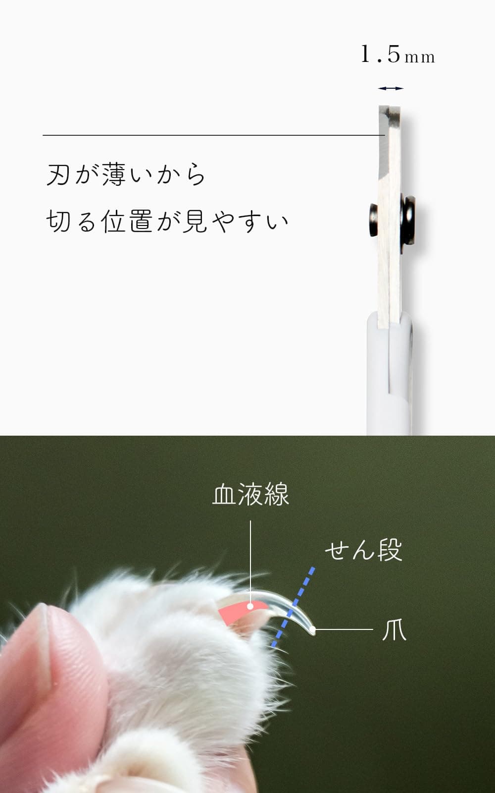 NecoIchi - Purrcision Feline Nail Clippers | Ultra-Sharp Cat Nail Clipper for Safe & Precise Trimming | Stainless Steel Blades, Cat Nail Trimmer, Ideal for Indoor Cats (White) - image 6