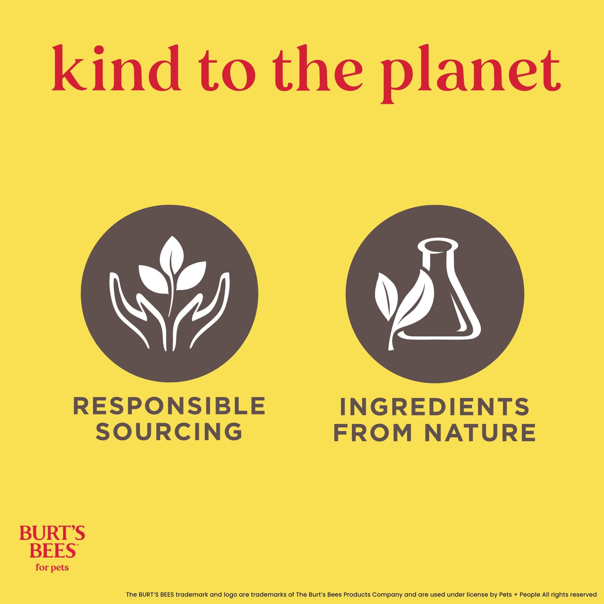 Burt's Bees for Pets Nose and Paw Balm with Beeswax and Cocoa Butter,100% Natural Origin Formulas, Dog Paw Pad Balm, Paw Moisturizer for Dogs, Dog Nose Balm - image 8