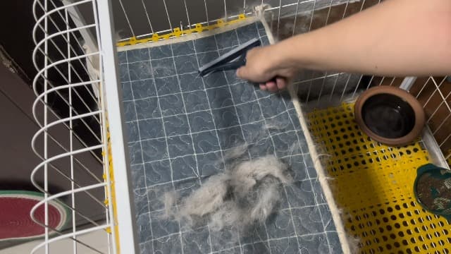 Pet Hair Removal Tool 3 Pack Dog Cat Hair Remover Carpet Scraper Rake Fur Removal Brush Lint Remover Shaver for Car Furniture Couch Green - image 7