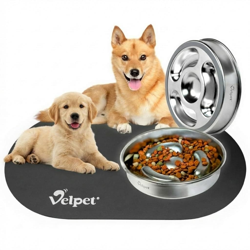 Stainless Steel Slow Feeder Dog Bowl with Absorbent Non-Slip Mat | Designed to Slow Eating | 304 Stainless Steel, Dishwasher Safe, Durable One-Piece Design for All Breeds