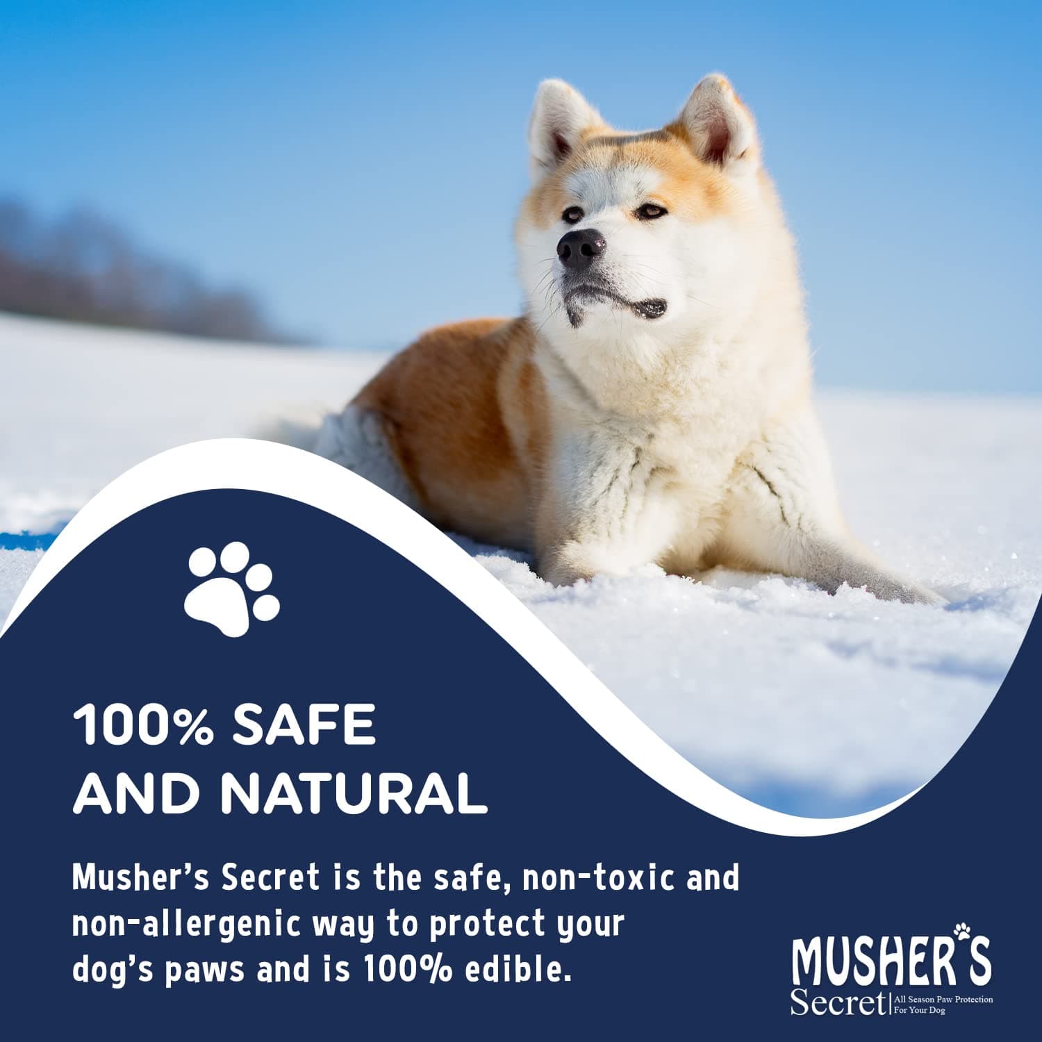 Musher’s Secret Dog Paw Wax 200g – Natural Paw Balm for Dogs with Vitamin E – Helps Protect Paws from Hot Pavement, Ice & Salt – Moisturizes Cracked Pads – Lick-Safe, Non-Toxic Dog Paw Protector - image 7