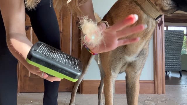 3PCS Self Cleaning Slicker Brush & Pet Grooming Rake & Bath Brush for Dogs,Cats and Horses | Double-Sided Dematting Comb & Skin Friendly Deshedding Grooming Tool | Premium Pet Supplies(Green Black) - image 8