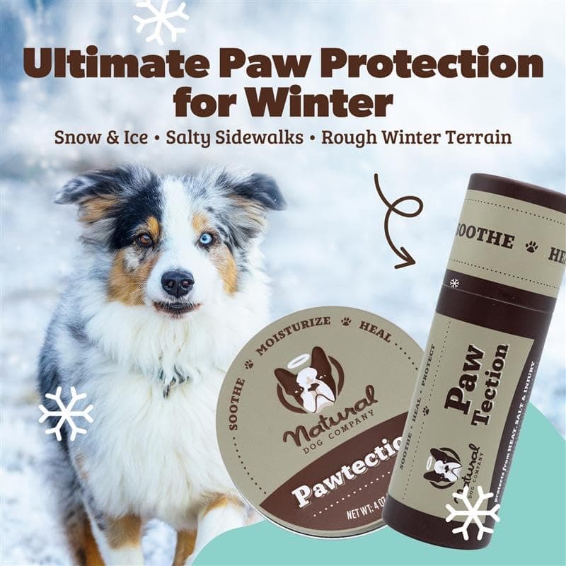 Natural Dog Company PawTection Balm for Dogs – Winter Paw Protection from Snow, Ice & Salt, Wax-Based Paw Barrier Balm, All Breeds for Cold Weather Walks & Outdoor Adventures, Lick-Safe, 2 oz Stick - image 2