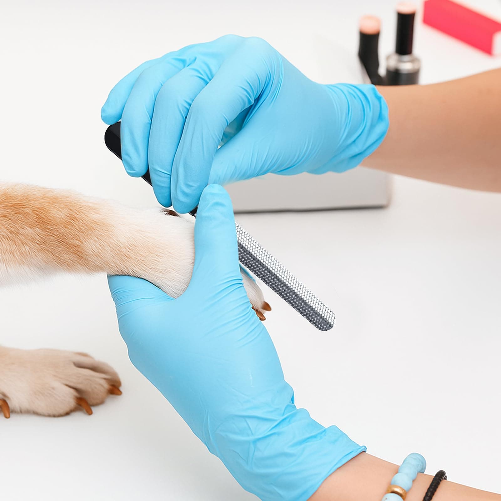 VIWIK Dog Nail Trimmers for Large Medium Dogs, Cats, Professional Dog Nail Clippers with File Quick Sensor & Safety Guard to Avoid Overcutting, Pet Claw Paw Clipper for Grooming with Toenail File Blue - image 7