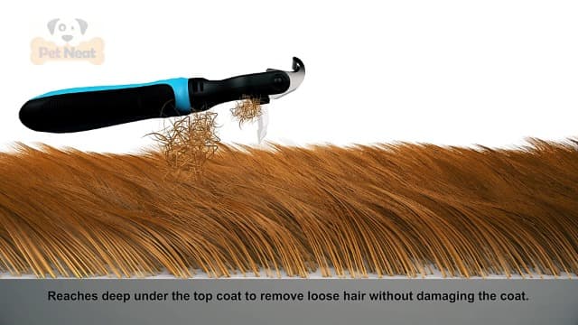 Dog Brush and Cat Brush – 2 Sided Pet Grooming Tool for Deshedding, Mats & Tangles Removing – No More Nasty Shedding and Flying Hair - image 7