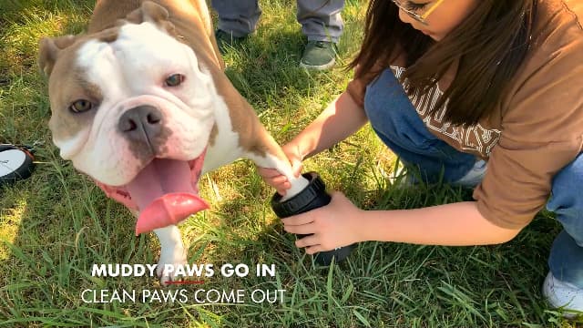 Dexas MudBuster Portable Dog Paw Washer/Paw Cleaner, Large, Matte Black- Special Edition (PW72025-22WP) - image 7