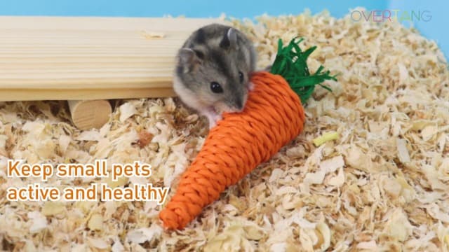 Hamster & Guinea Pig Toys - 18 Pcs Wooden Small Animal Chew Toys for Teeth - Rabbit, Chinchilla, Gerbils, Rats Exercise Accessories - image 8