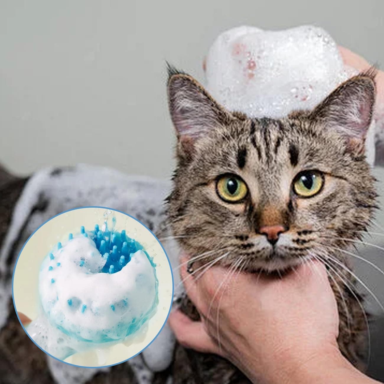 Dog Bath Brush, 2 in 1 Pet Bath Brush Soft Dog Scrubber for Bath with Built-in Shampoo Dispenser for Long Short Haired Dogs Cats Shower - image 7