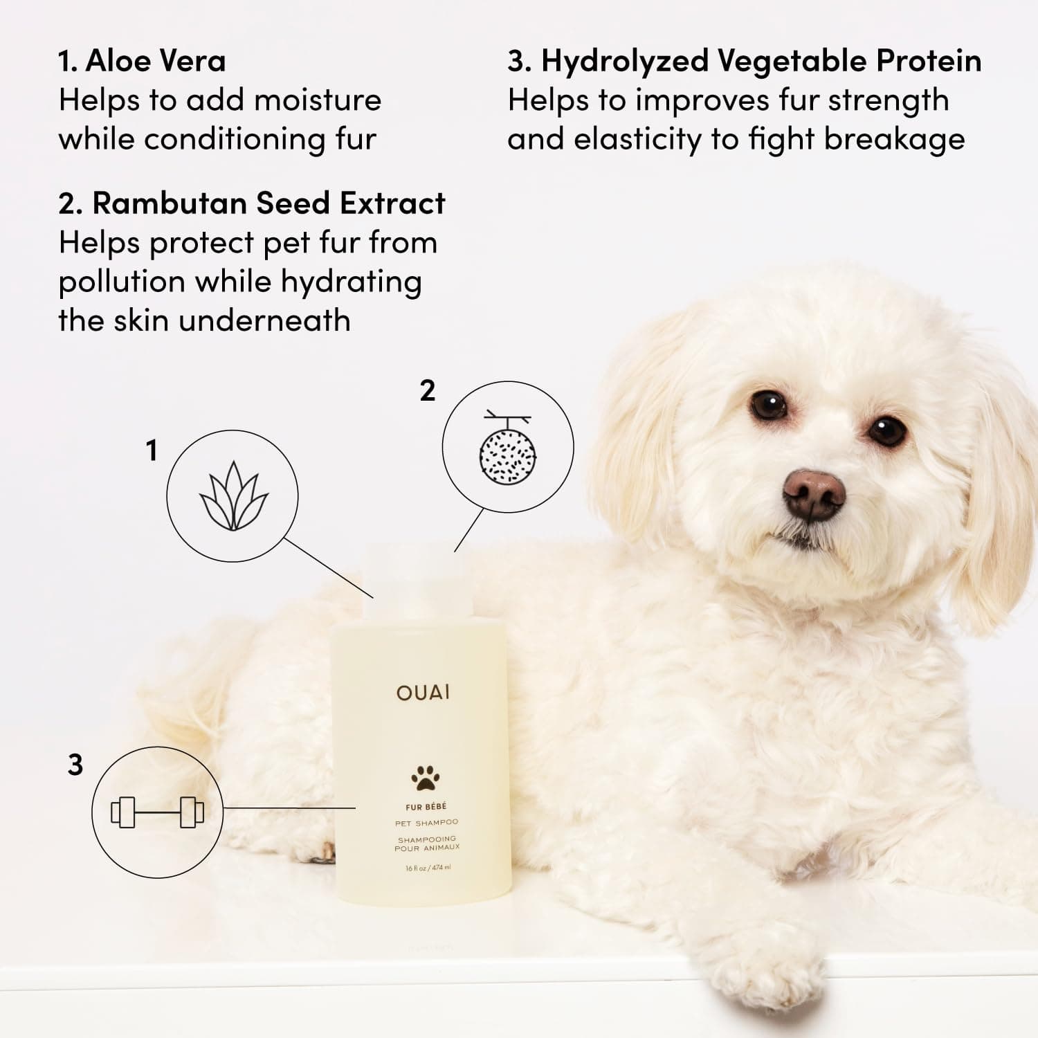 OUAI Fur Bébé Pet Shampoo, Mercer Street Scent - Dog Shampoo and Coat Wash for Hydrating, Cleansing and Adding Shine - Pet Supplies by OUAI (16 Fl Oz) - image 3