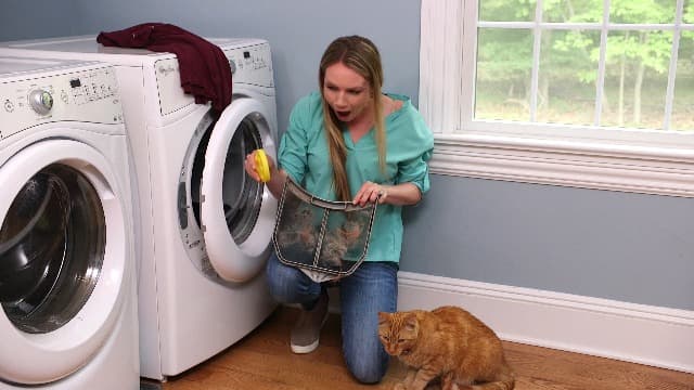 FurZapper Pet Hair Remover for Laundry, 2 Pack - Reusable Dog & Cat Hair Remover Tool As Seen on Shark Tank - Removes Pet Fur, Hair, Lint, Dander From Clothes & Laundry - Use 1 FurZapper Per Pet - image 7