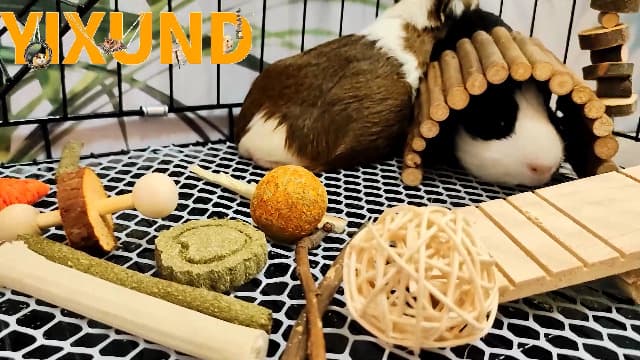 Hamster Cage Accessories, 12 Different Chew Toys for Guinea Pig, Chinchillas, Gerbils, Mice, Rats, Mouse, Rabbit, Bunny Hideout Seesaw, Natural Molar Tools - image 7