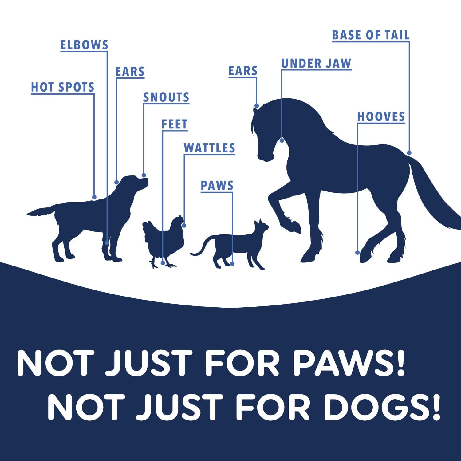 Musher’s Secret Dog Paw Wax 200g – Natural Paw Balm for Dogs with Vitamin E – Helps Protect Paws from Hot Pavement, Ice & Salt – Moisturizes Cracked Pads – Lick-Safe, Non-Toxic Dog Paw Protector - image 8