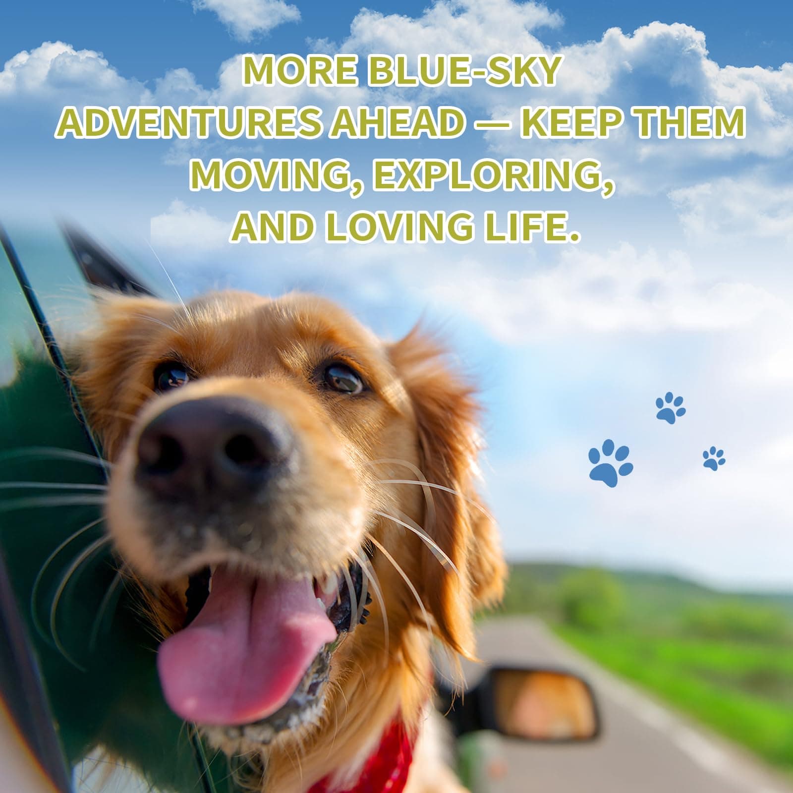 Dog Multivitamin Soft Chews – Glucosamine, Chondroitin, Probiotics & Omega-3 for Joint, Skin & Coat, Heart, Digestive & Immune Support – Chicken Flavor, 120 Soft Chews, ZOAPETAL - image 5