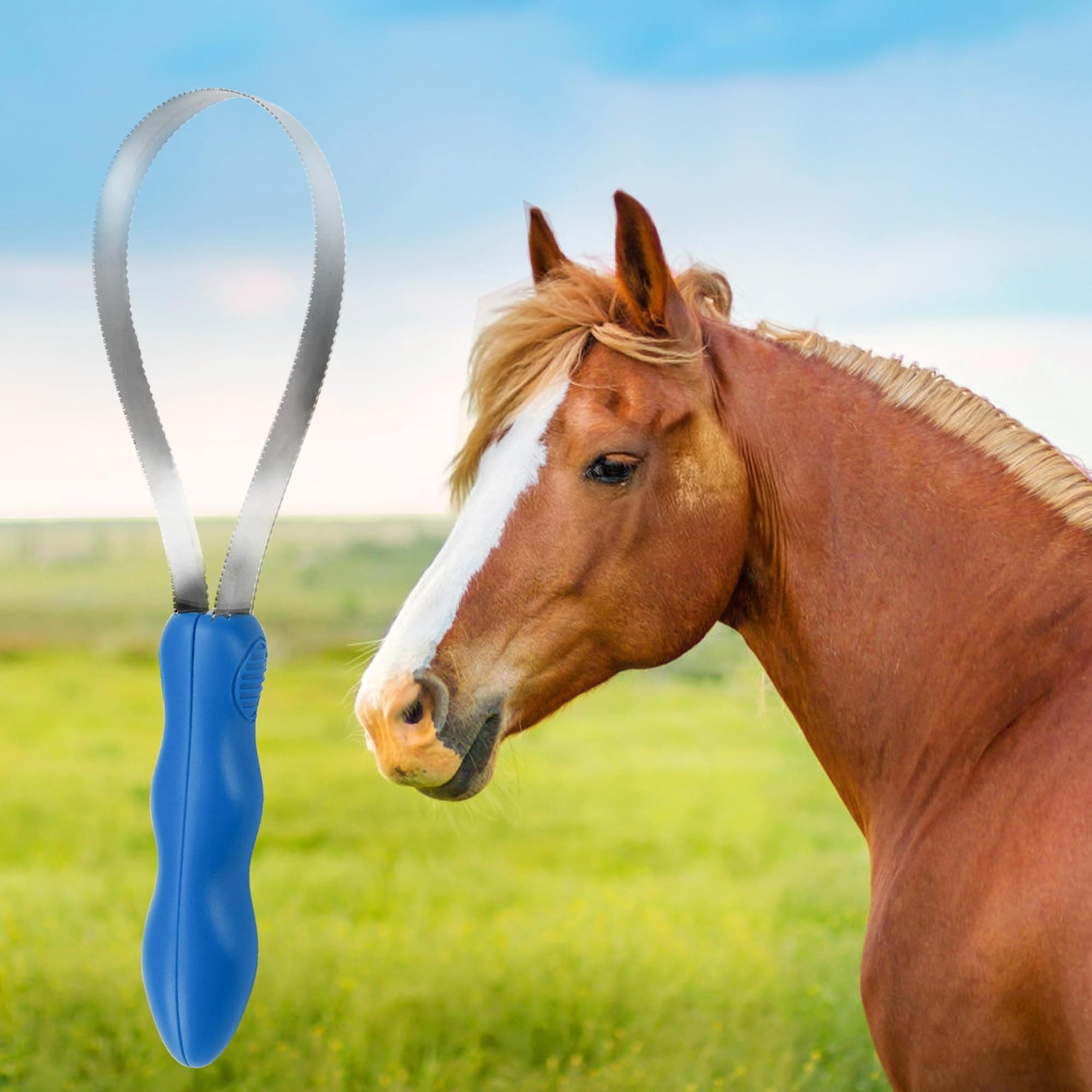 Dual-Sided Shedding Blade Dog Hair Brush - Stainless Steel Grooming Tool for Horses, Cattle, Sheep with Comfort Grip - Fine & Coarse Teeth for Long and Short Hair（2 Pcs） - image 5