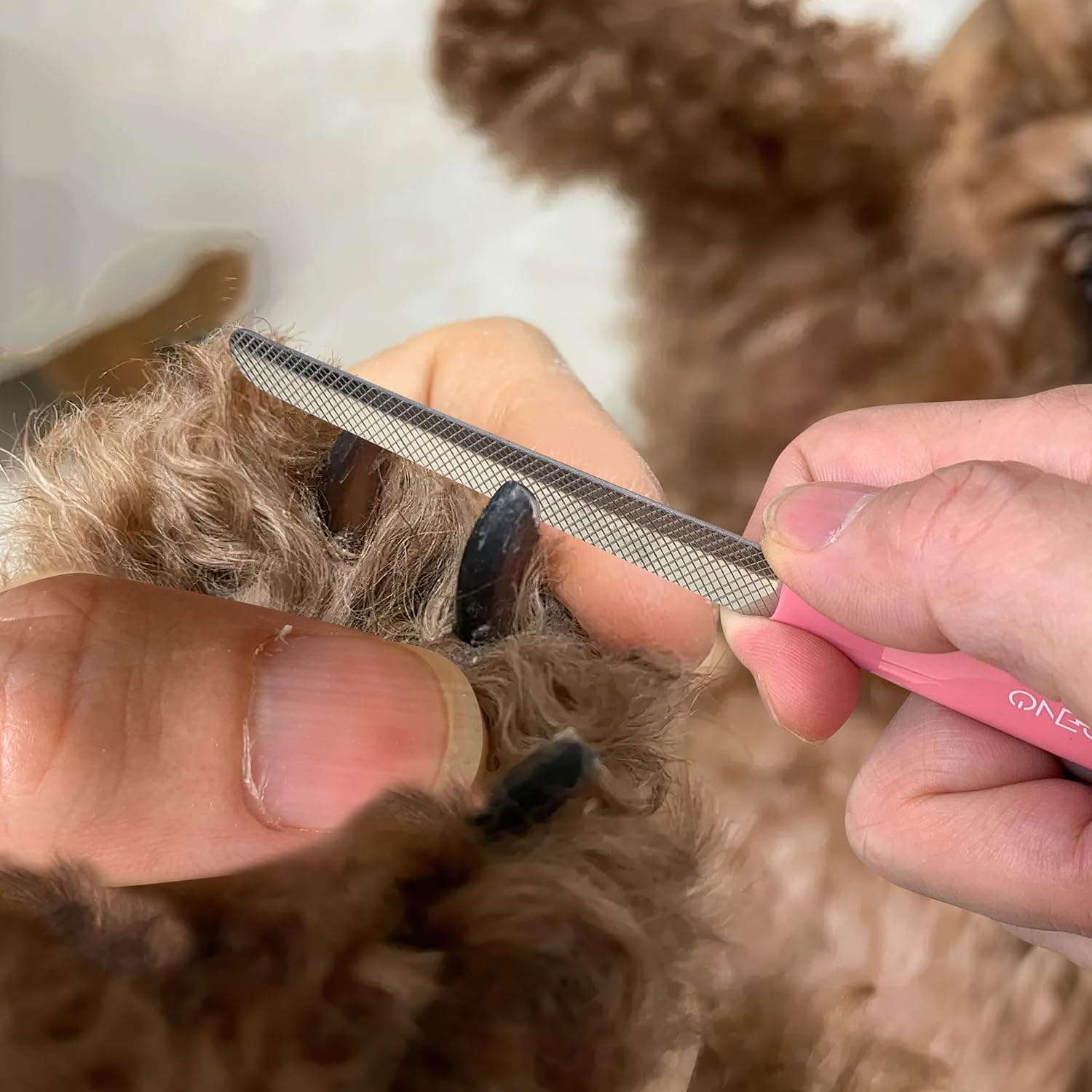 OneCut 6" Dog Nail Clippers for Small, Medium and Large Breed Professional Pet Nail Trimmers -Suitable for Cats, Rabbits and Guinea Pigs with Safety Guard to Avoid Over Cutting (Pink) - image 8