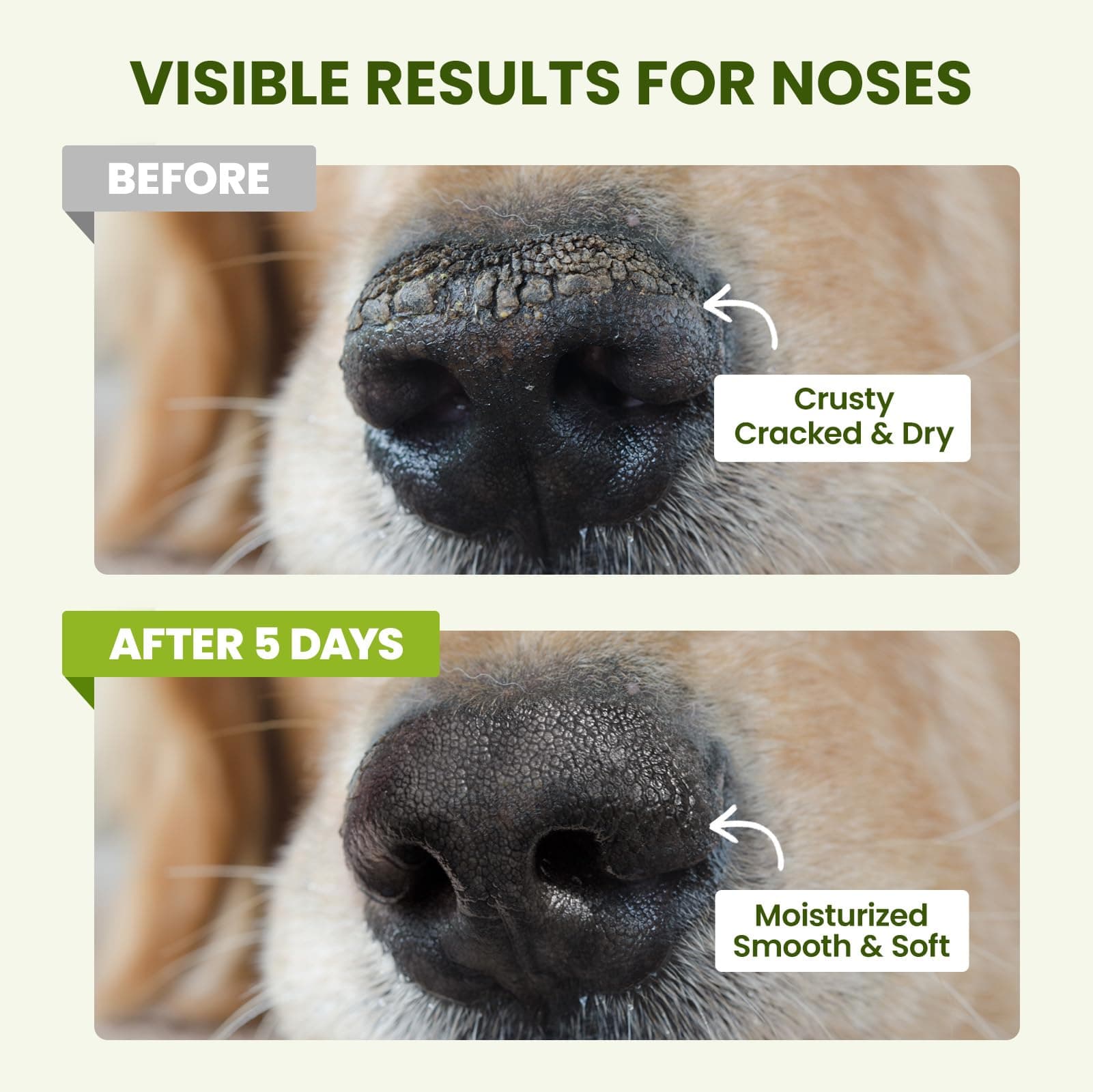 Lick-Safe Dog Paw & Nose Balm with Coconut Oil | Winter Snow, Road Salt & Cold Pavement Protector | All-Natural Moisturizer & Soother for Dry, Cracked Pads & Snout | Horse Hoof, Joint Care - image 5