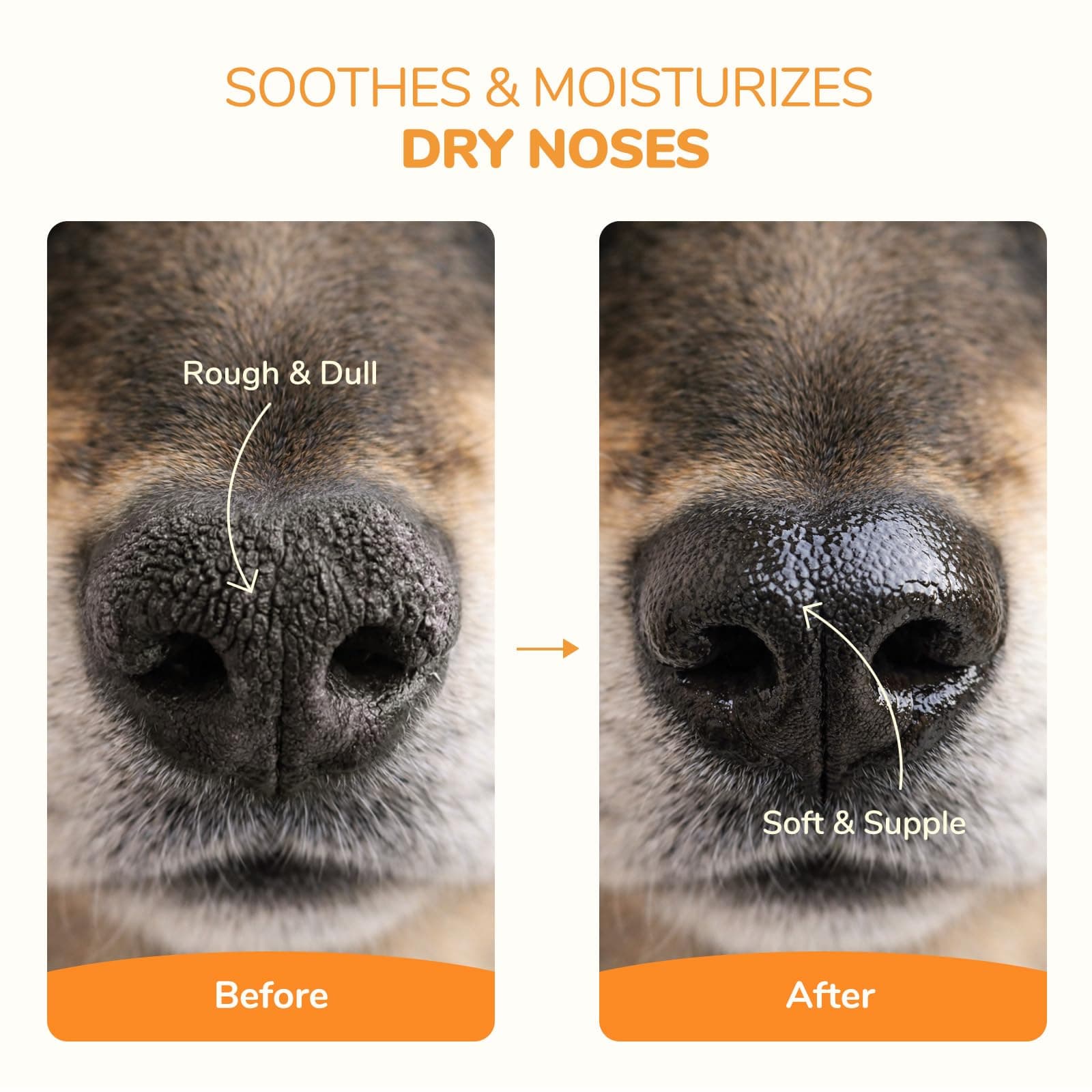 Lick-Safe Dog Paw & Nose Balm | 2.1 oz All Natural Wax with Coconut Oil & Shea Butter | Winter Snow, Road Salt & Hot Pavement Protector | Moisturizer for Dry, Rough Pads & Snouts - image 4