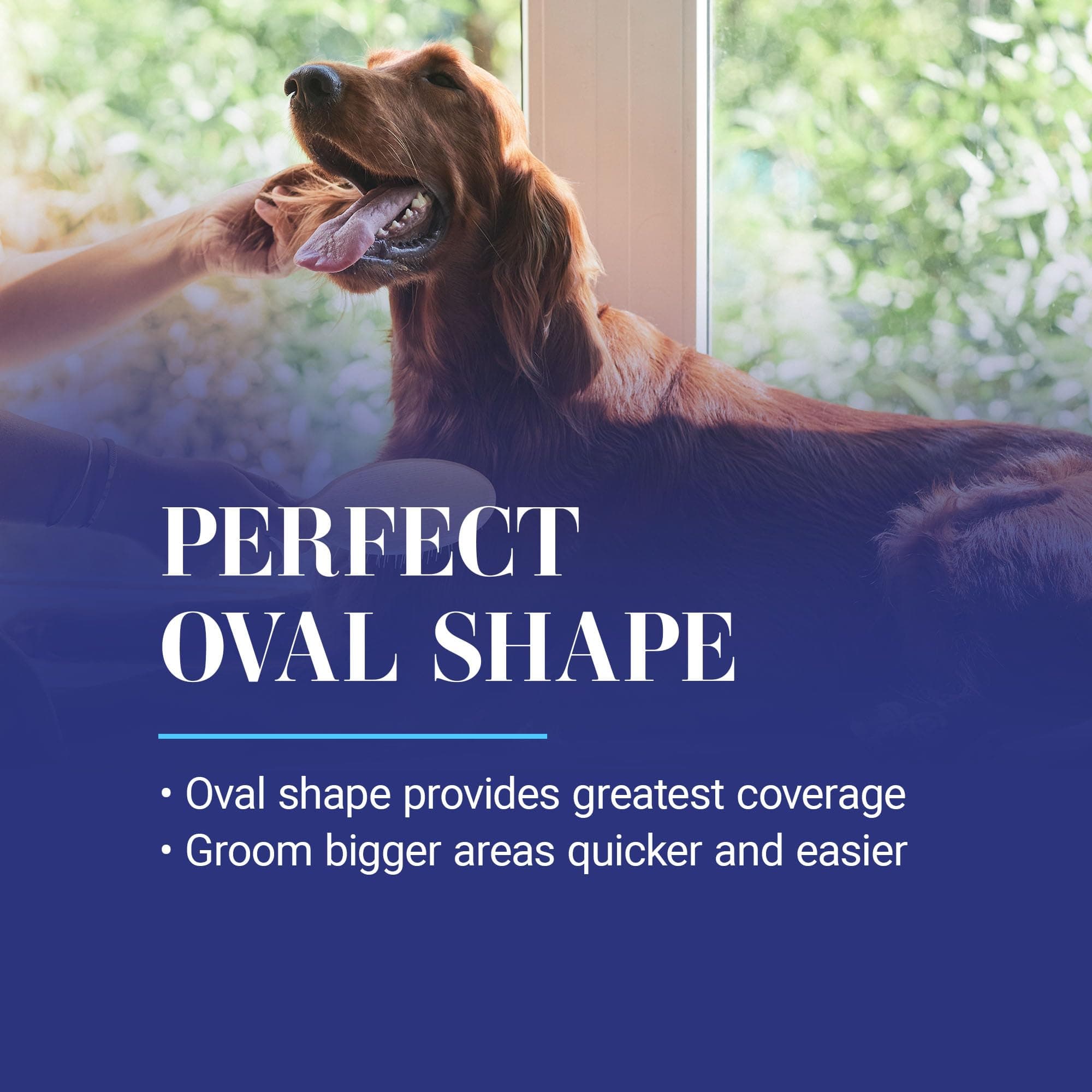 Chris Christensen Dog Brush, 27 mm Oval Pin Brush, Original Series, Groom Like a Professional, Stainless Steel Pins, Lightweight Beech Wood Body, Ground and Polished Tips - image 6