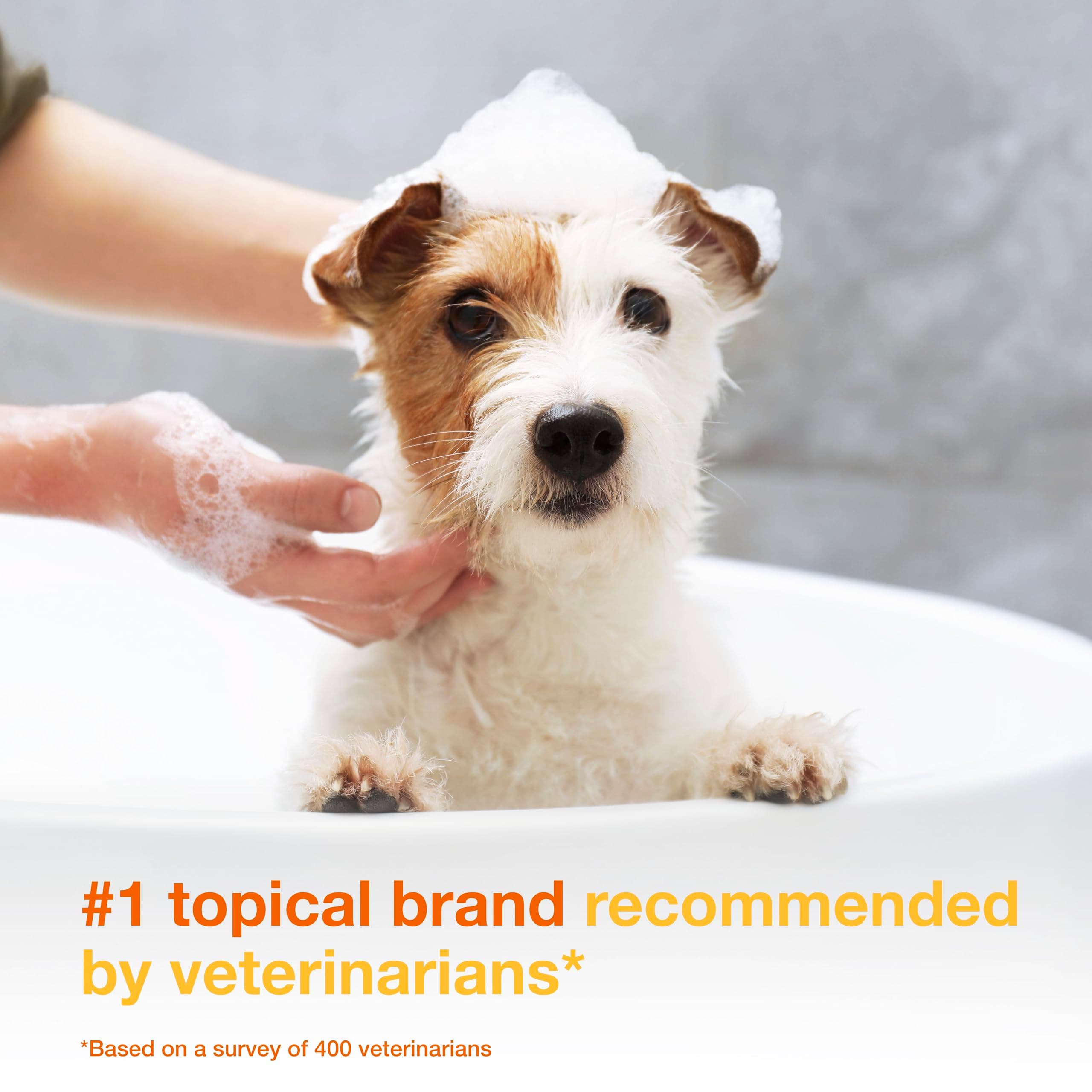 Douxo S3 Pyo Shampoo, Contains 3% Chlorhexidine & 0.5% Ophytrium, Antiseptic & Hydrating, For Bacterial or Yeast Skin Infections, For Dogs and Cats, 6.7 fl. oz. (200mL) - image 3