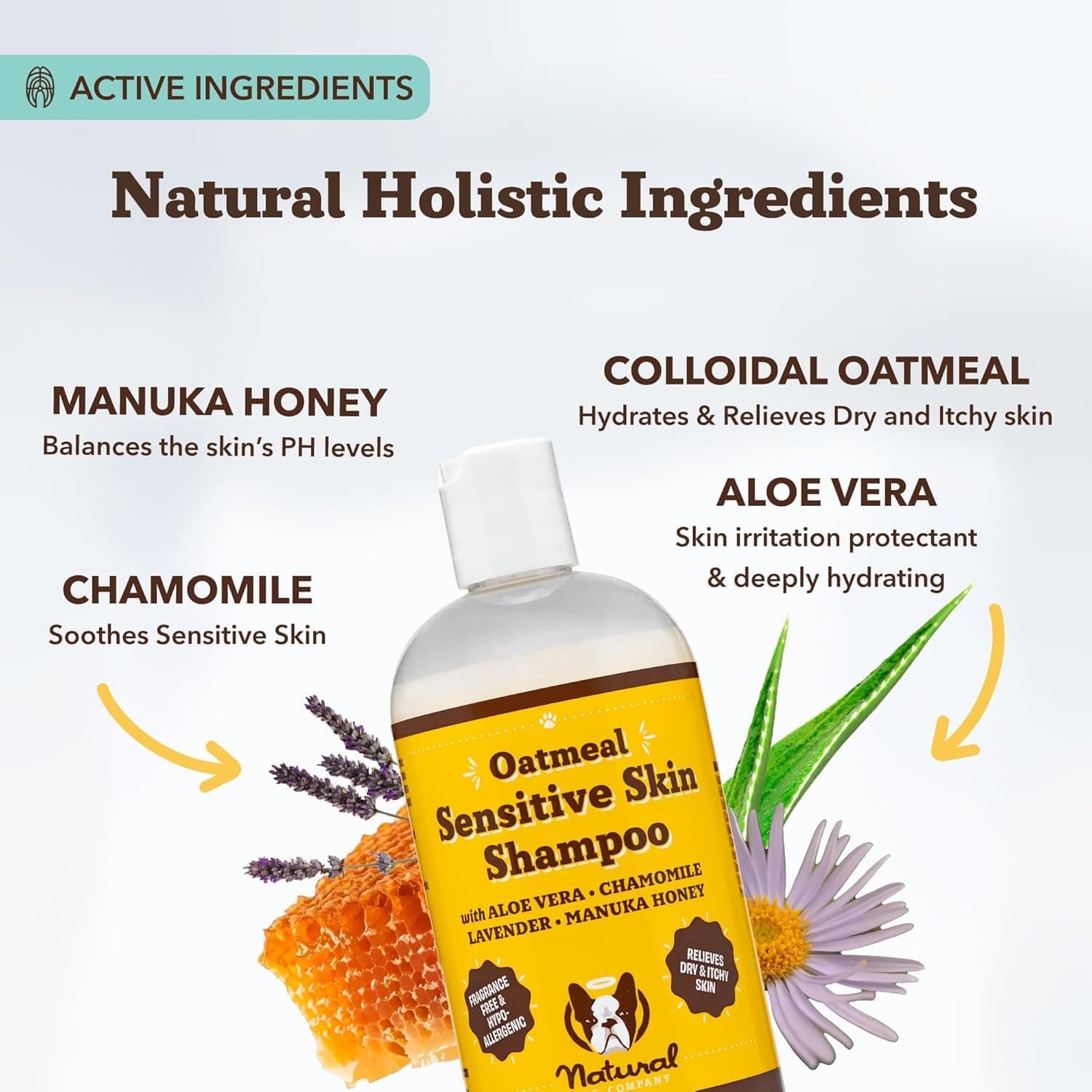 Natural Dog Company Oatmeal Shampoo for Dogs with Sensitive Skin, Ideal Anti Itch Dog Shampoo and Puppy Shampoo Oatmeal Itch Relief Dog Hypoallergenic Pet Shampoo, Deodorizing and Organic 12 oz - image 4