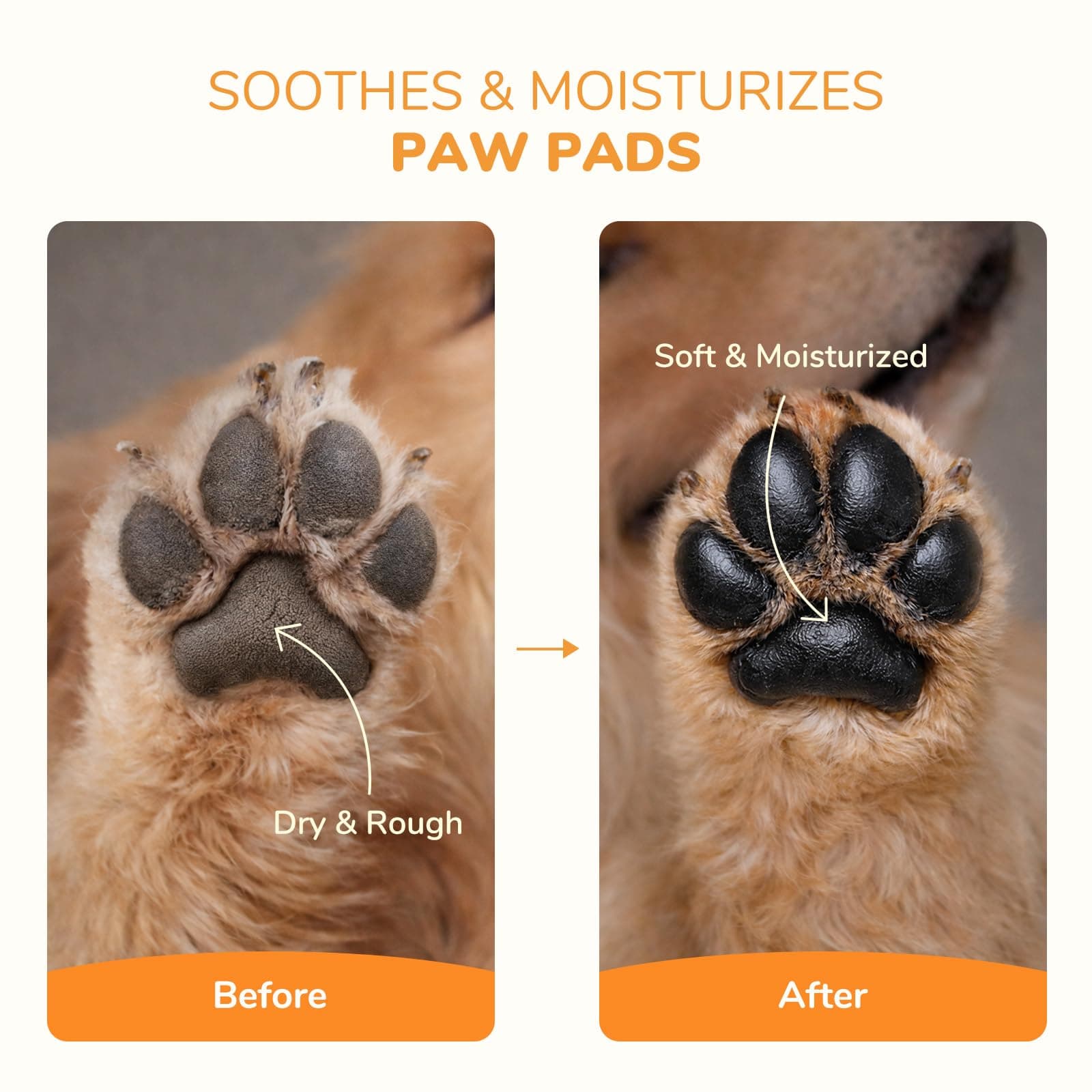 Lick-Safe Dog Paw & Nose Balm | 2.1 oz All Natural Wax with Coconut Oil & Shea Butter | Winter Snow, Road Salt & Hot Pavement Protector | Moisturizer for Dry, Rough Pads & Snouts - image 3