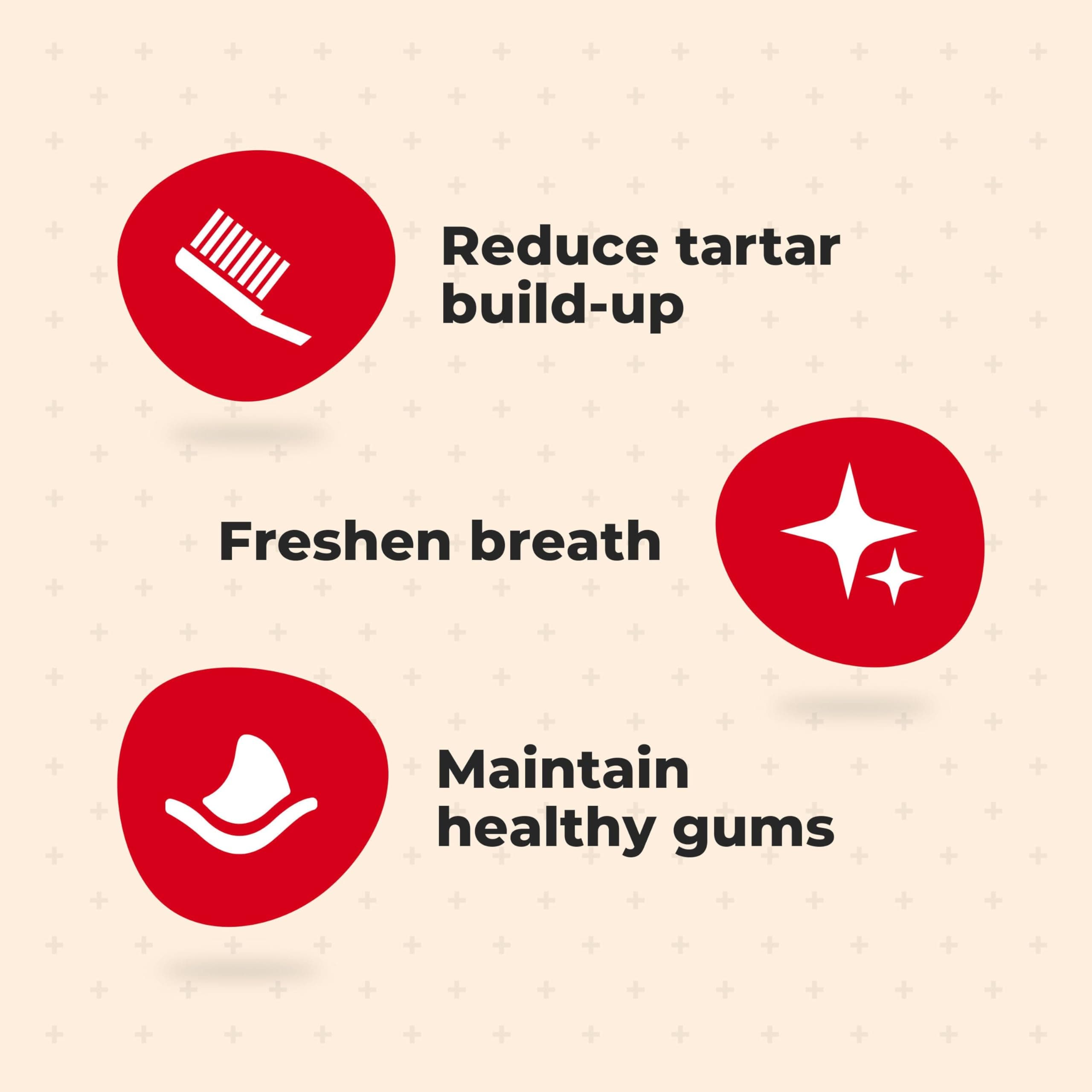 Milk-Bone Brushing Chews Fresh Mint Flavor Daily Dental Dog Treats, Large, 24.2 Oz. Bag - image 3