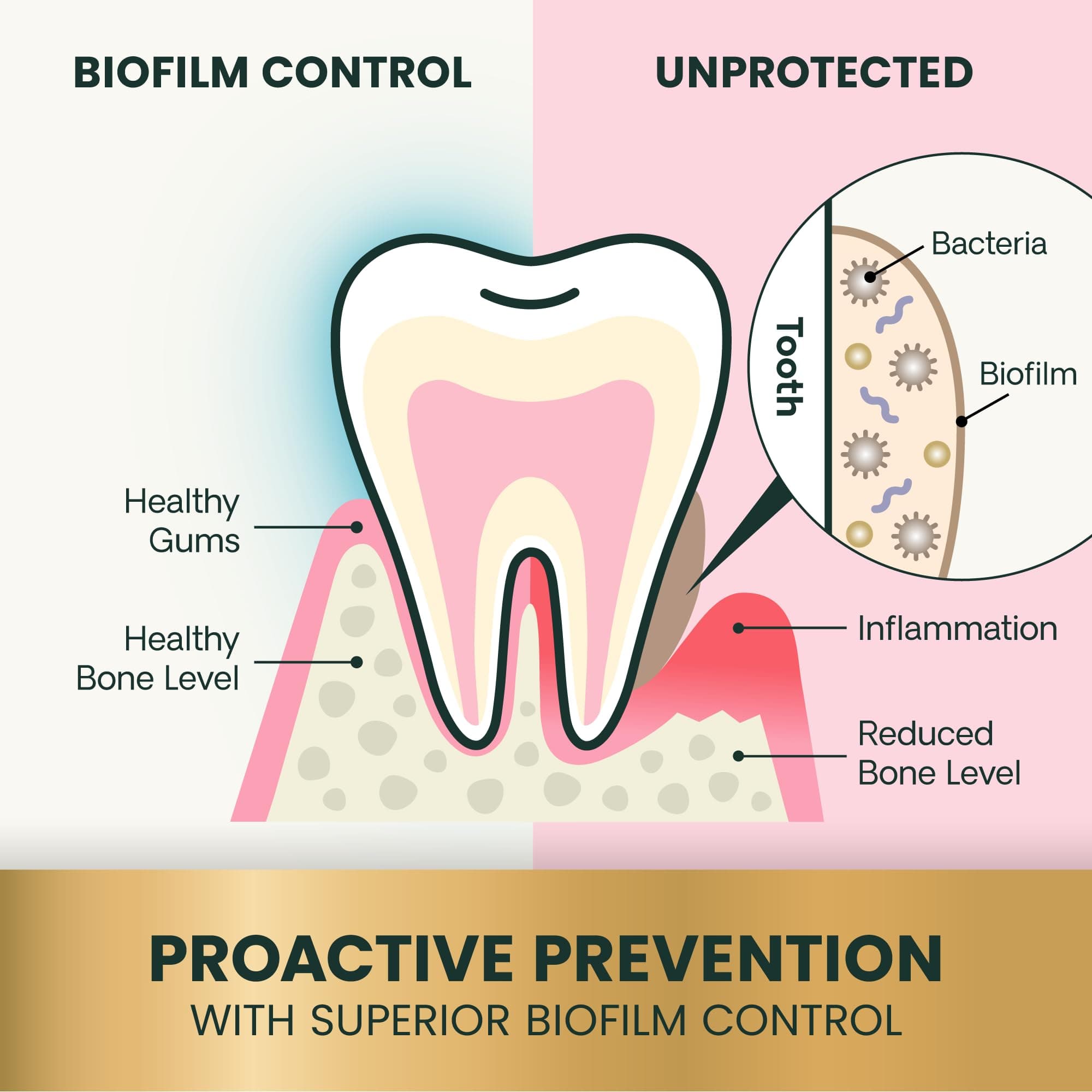 VetriScience Perio Plus Cat Teeth Cleaning Bites - Advanced Cat Breath Freshener - Dual Action Cat Dental Care Formula for Plaque Control & Fresh Breath, 60 Chews, Chicken Flavor​ - image 3