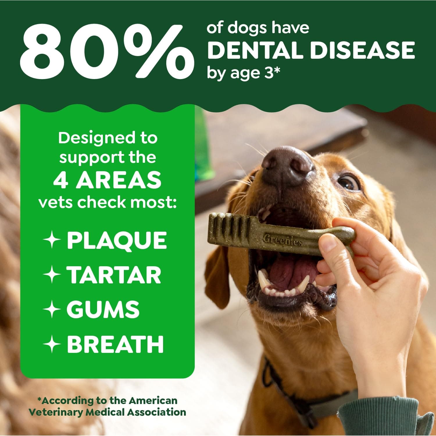Greenies Veterinarian-Recommended Adult Natural Dental Dog Treats Regular Size, Dog Dental Chews, Original Flavor, 36 oz. Pack, 36 Count - image 3