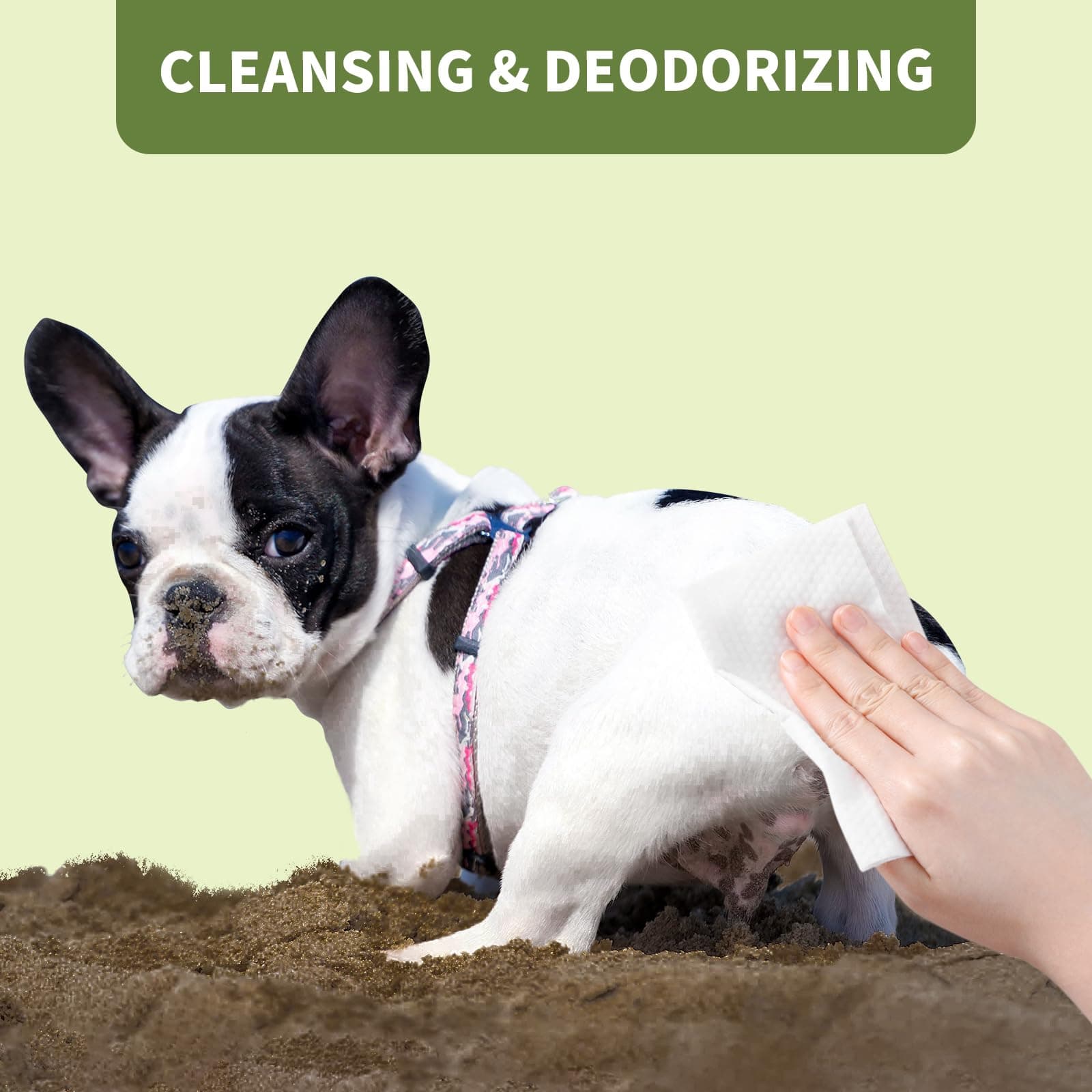 Rated 4.6 out of 5 stars from 916 reviews - image 3