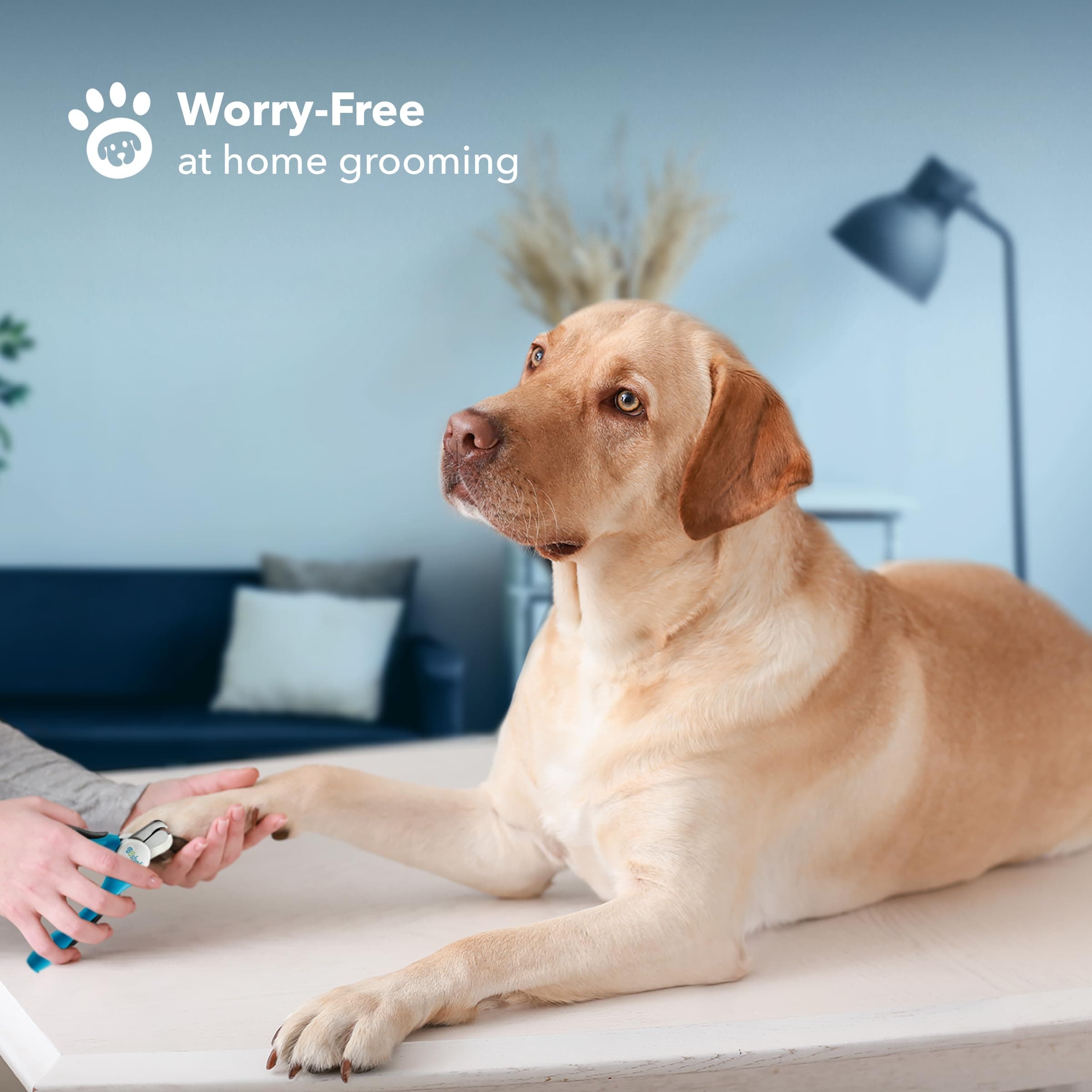 Boshel Large Dog Nail Clippers with Safety Guard to Avoid Over-Cutting Nails and Free Nail File, Razor Sharp Blades, Professional at Home Grooming - image 4