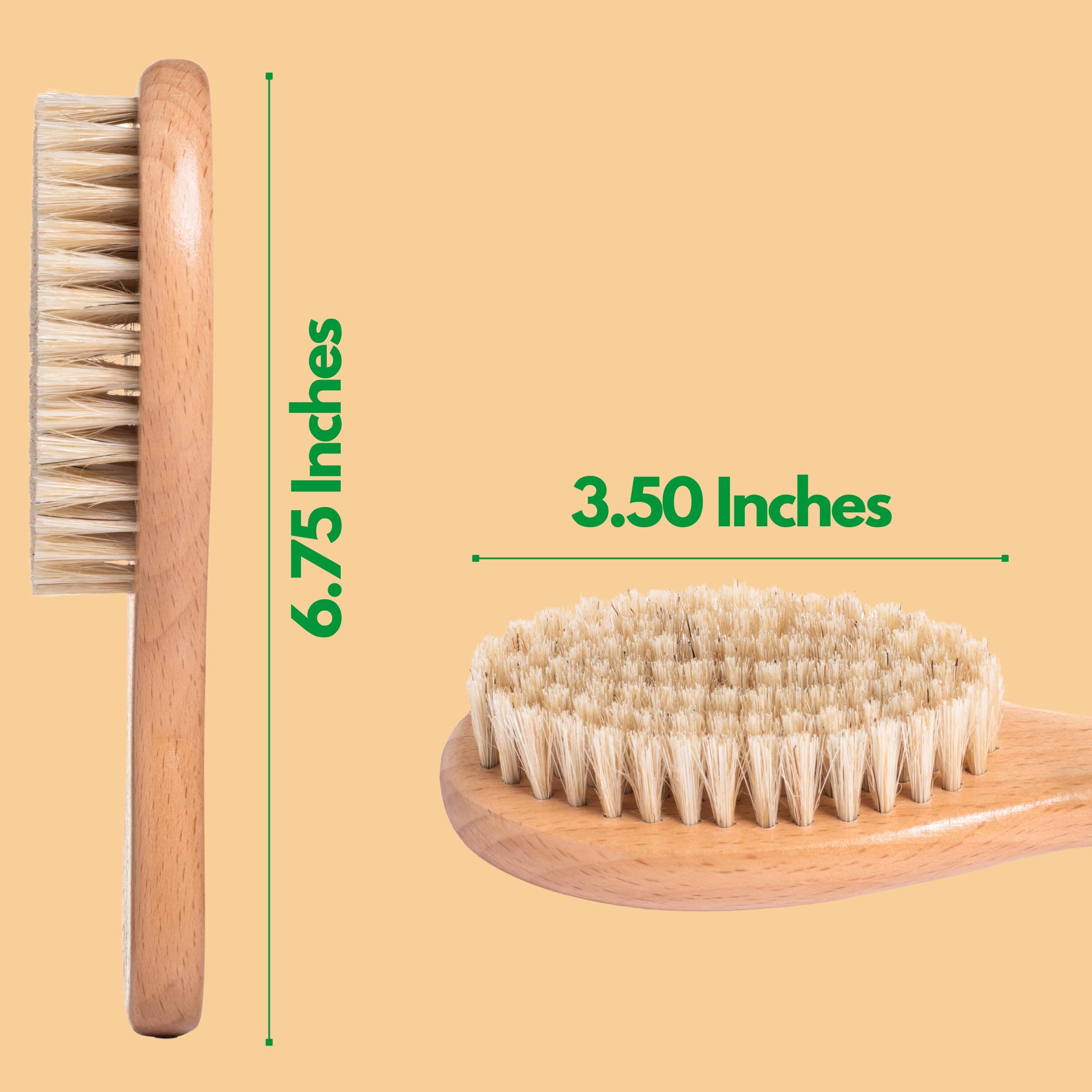 GranNaturals Boar Bristle Soft Cat Brush for Indoor, Outdoor, Short Haired Cats, Kittens, Small Dog, Rabbit, Furry Pets - Gentle Grooming on Sensitive Hair Coat & Tail with Durable Wooden Handle - image 8