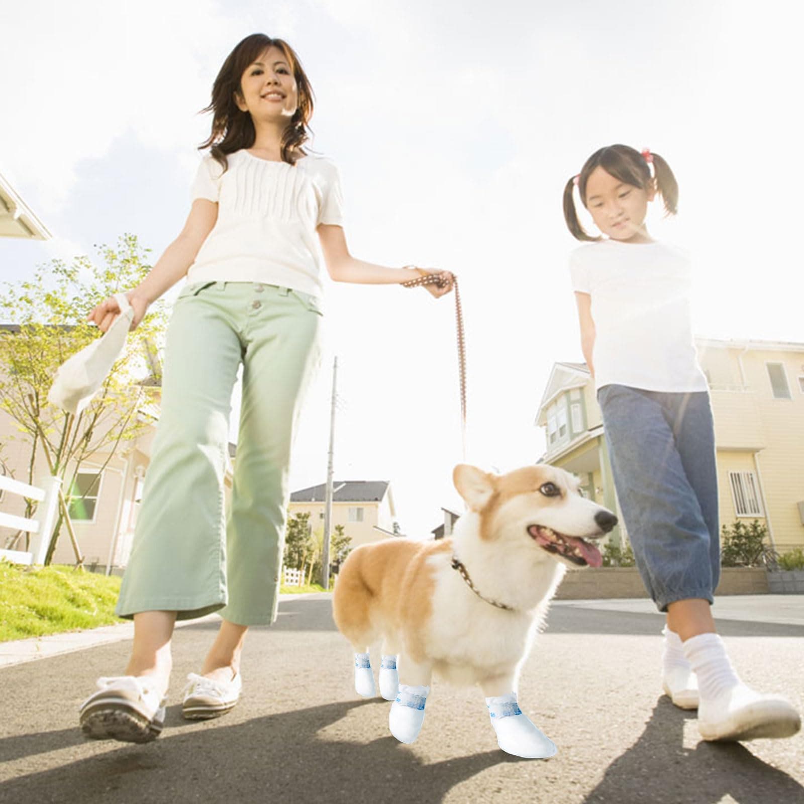 Disposable Dog Boots for Paw Protection, 20 Pcs Pet Shoes with Adjustable Self-Adhesive Bandage, Dog Disposable Foot Covers for Outdoor & Indoor Walking (White, Large) - image 6