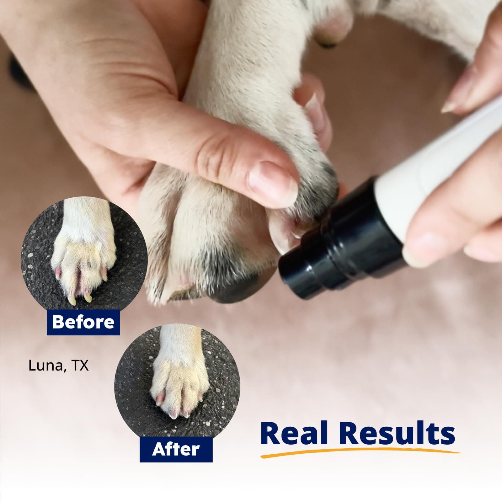 Silent Groom Pro Pet Nail Grinder | Whisper Quiet Claw Trimmer for Dogs, Cats and Other Animals | Safe & Stress Free Nail Grooming, Ideal for Sensitive Dogs of All Breeds & Sizes - image 5