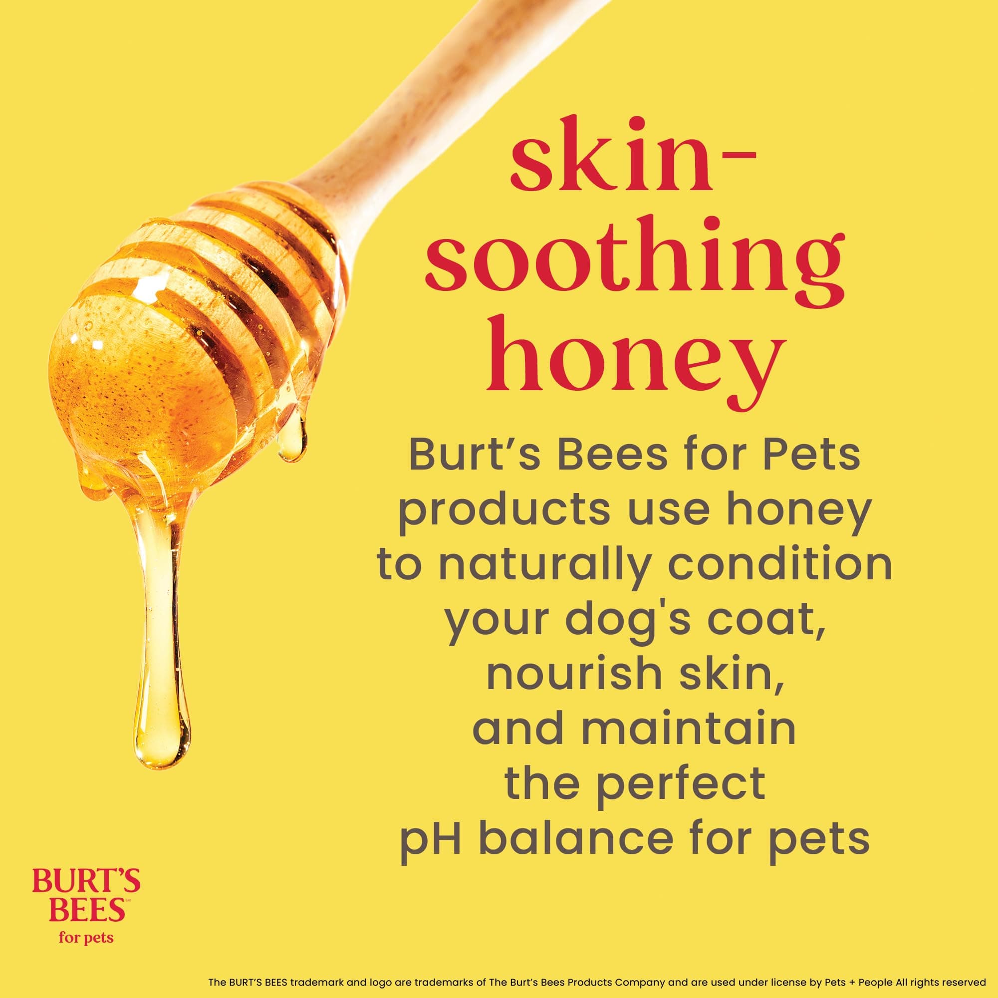 Burt's Bees for Pets Nose and Paw Balm with Beeswax and Cocoa Butter,100% Natural Origin Formulas, Dog Paw Pad Balm, Paw Moisturizer for Dogs, Dog Nose Balm - image 6