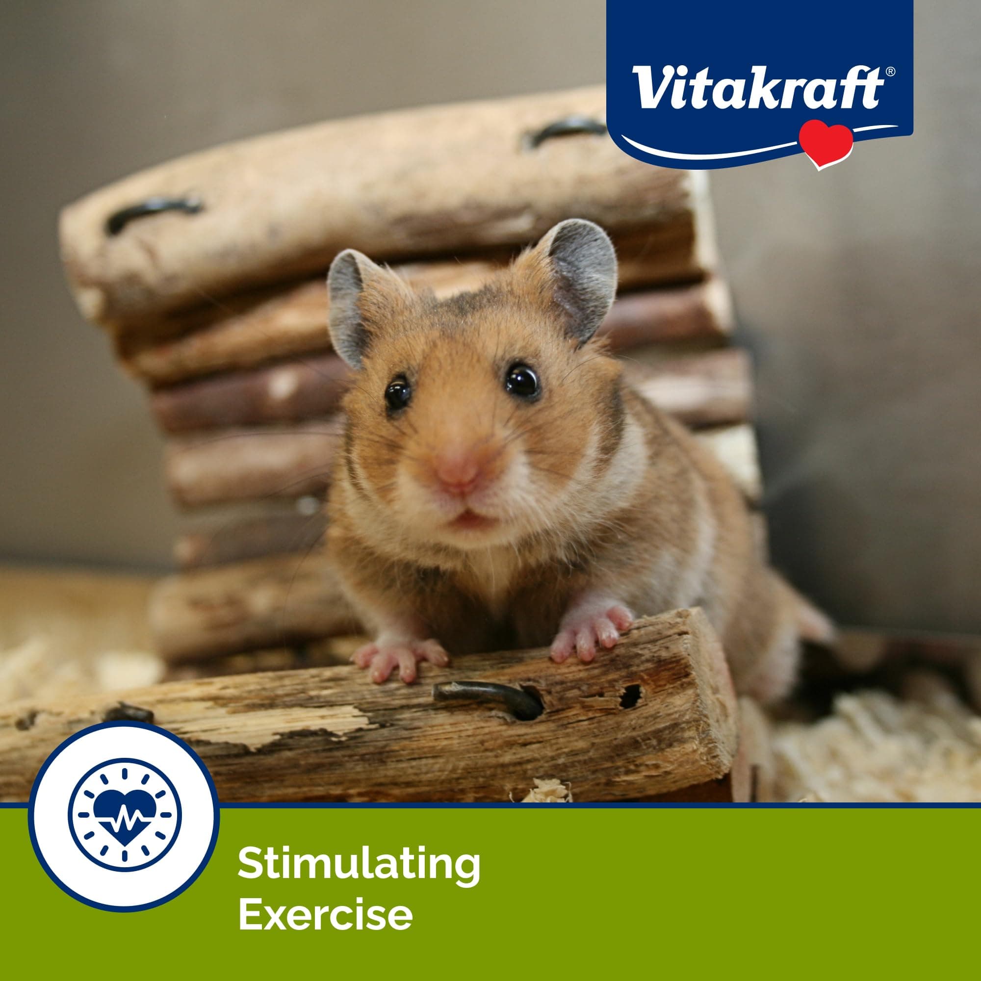 Vitakraft Crunch Sticks Hamster Treats Apple and Honey Flavor 2 Pack - Wholesome Crunchy Chew Sticks for Hamsters and Gerbils - Enrichment Chew Toy with Natural Wood Core - image 6