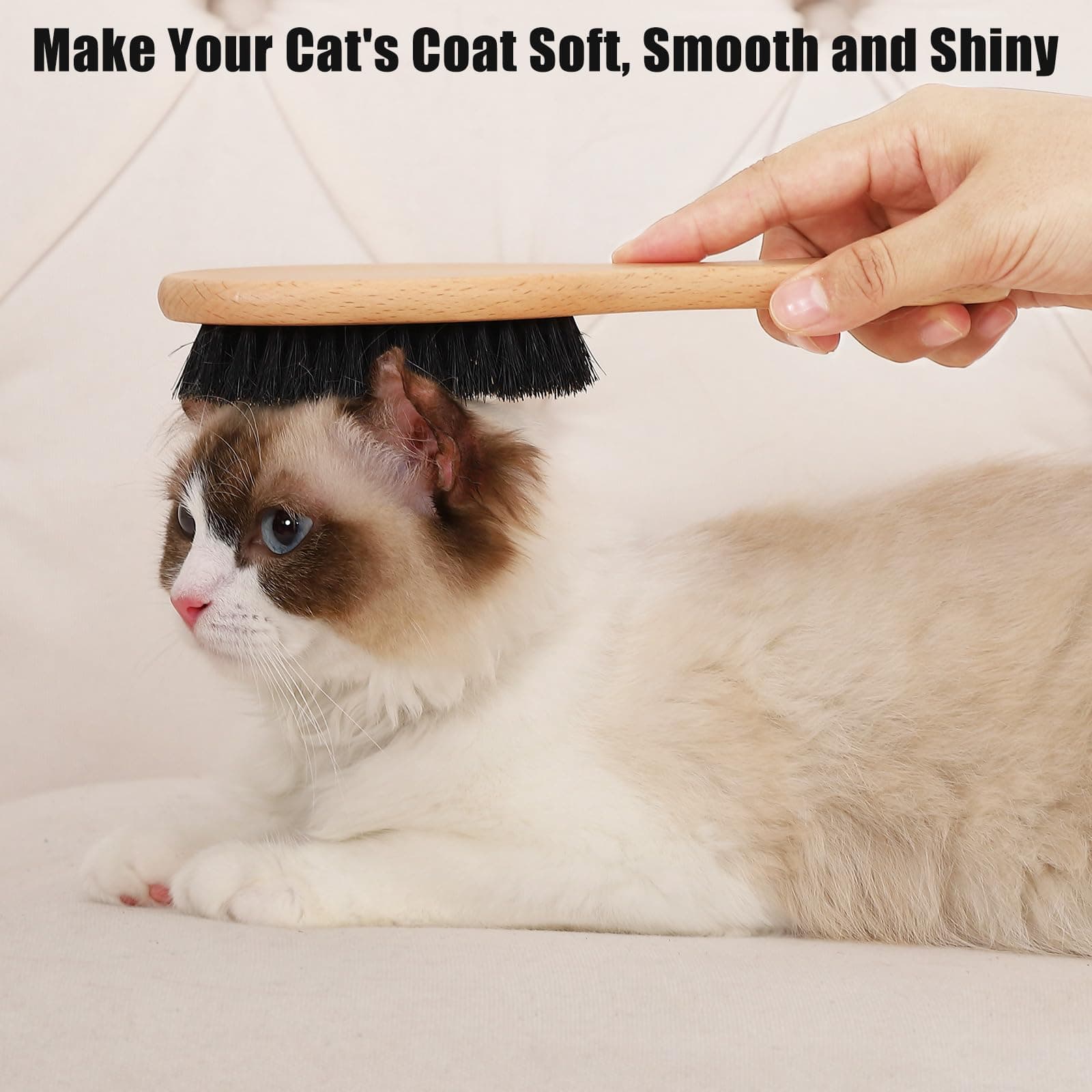 Boar Bristle Cat Brush with Wooden Handle, Soft and Gentle, Reduce Shedding, Make Coat Soft, Smooth and Shinny, Daily Grooming Tool for Short Haired Cats, Kitten - image 2