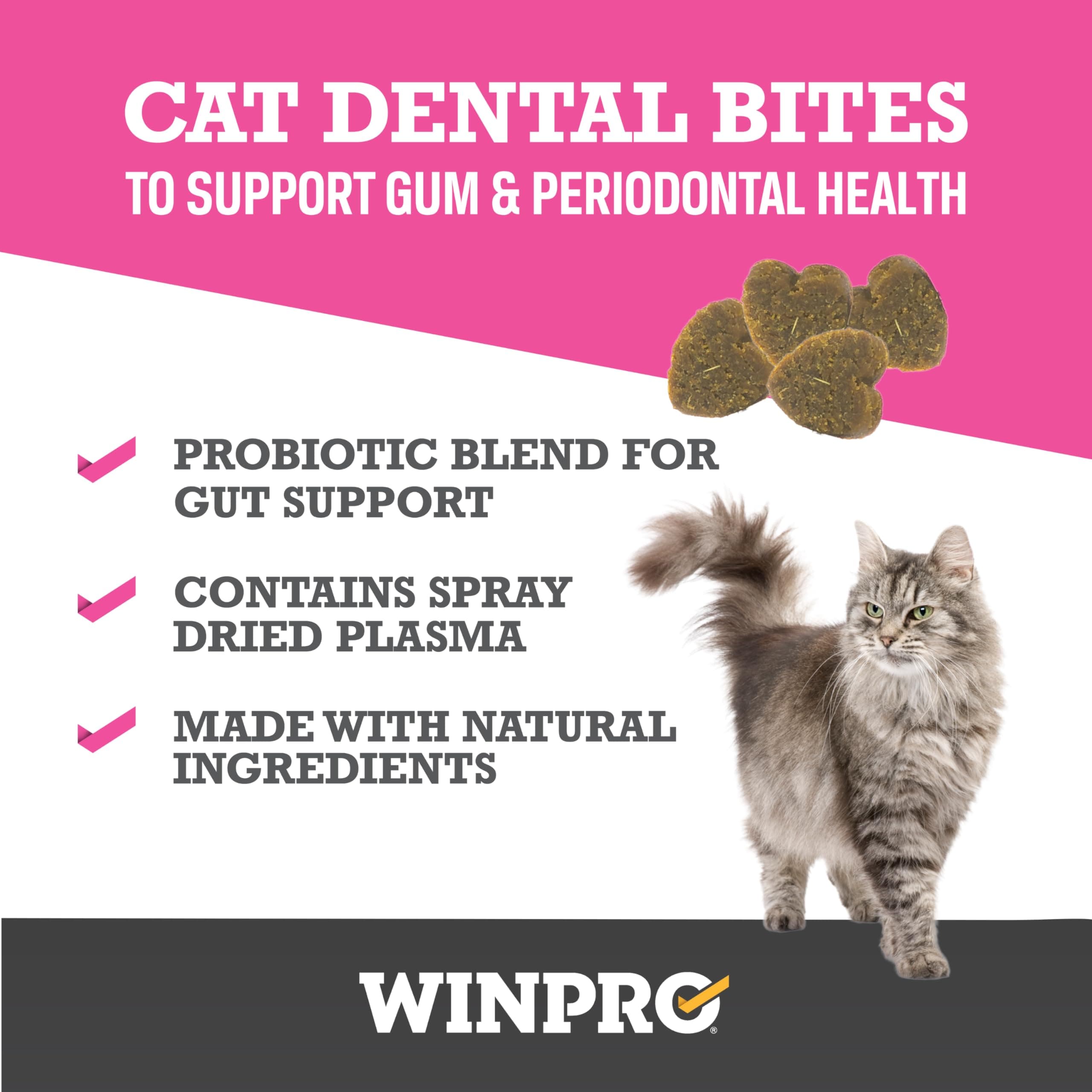 WINPRO Functional Dental Bites for Cats, Plasma-Powered Formula for Supporting Healthy Teeth and Gums, Probiotic Blend, Catnip Flavor, All Cat Breeds, 120 Count - image 3