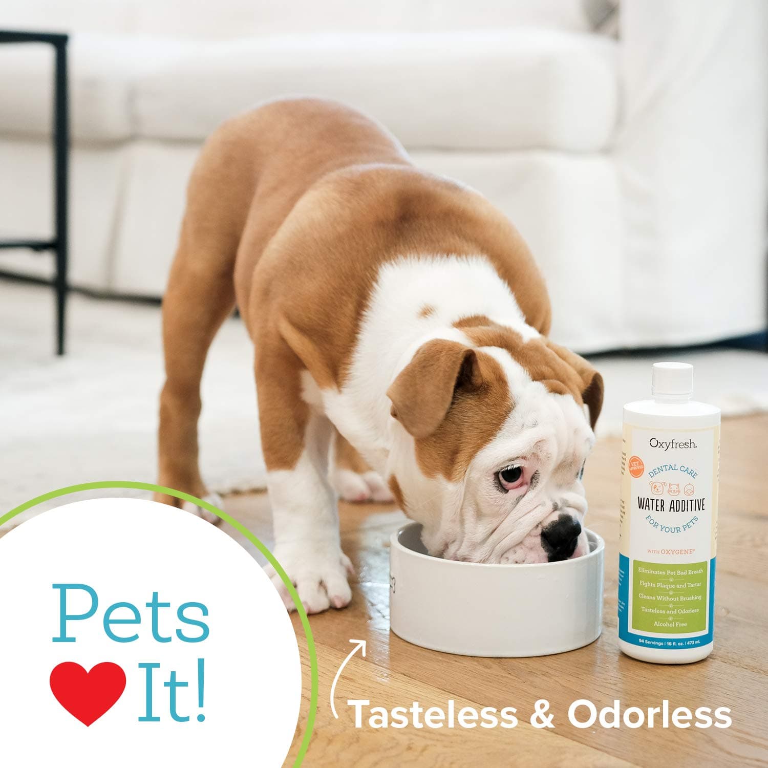 Oxyfresh Premium Pet Dental Care Solution Pet Water Additive: Best Way to Eliminate Bad Dog Breath and Cat Bad Breath - Fights Tartar & Plaque - So Easy, Just Add to Water! Vet Recommended 2 Pack - image 3