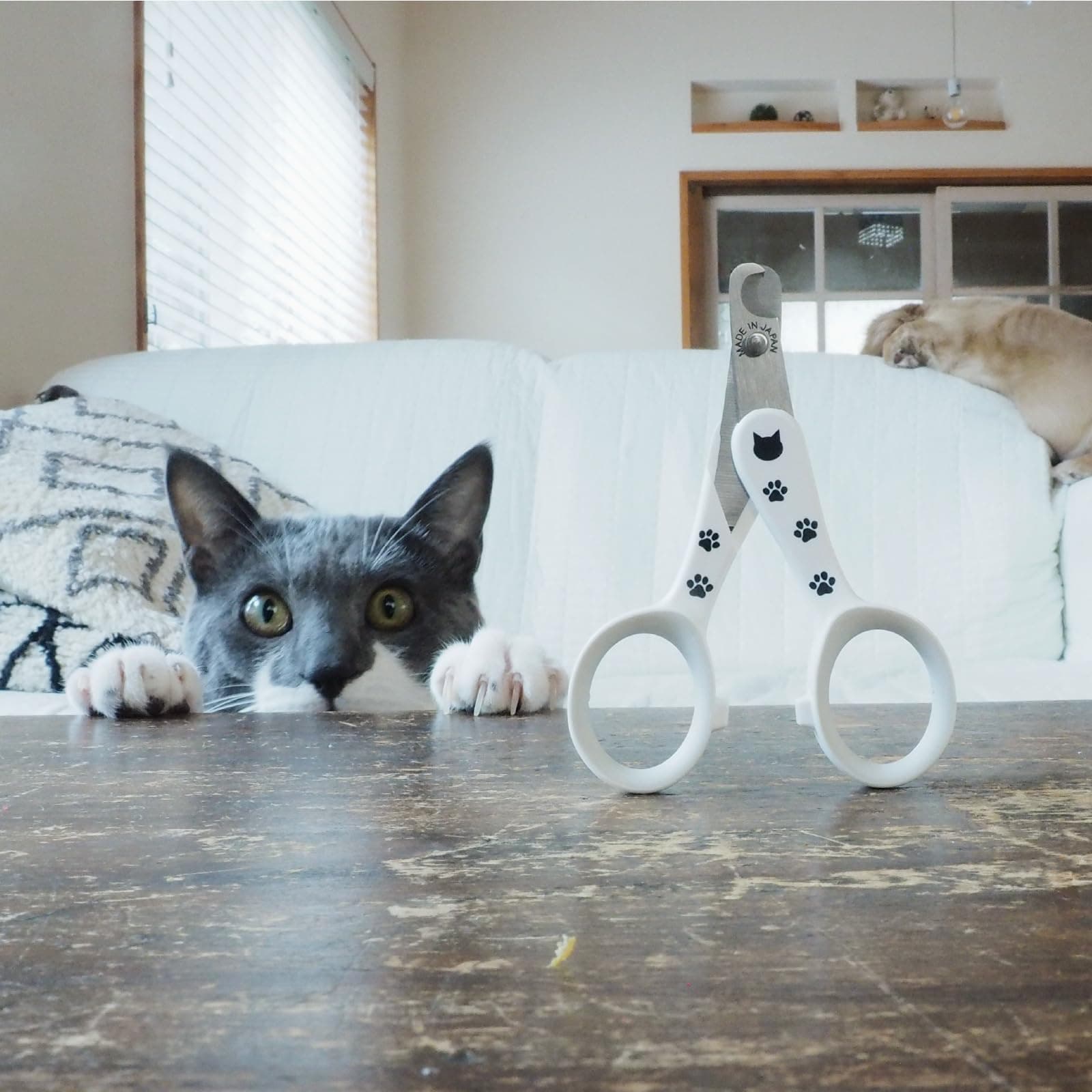 NecoIchi - Purrcision Feline Nail Clippers | Ultra-Sharp Cat Nail Clipper for Safe & Precise Trimming | Stainless Steel Blades, Cat Nail Trimmer, Ideal for Indoor Cats (White) - image 8