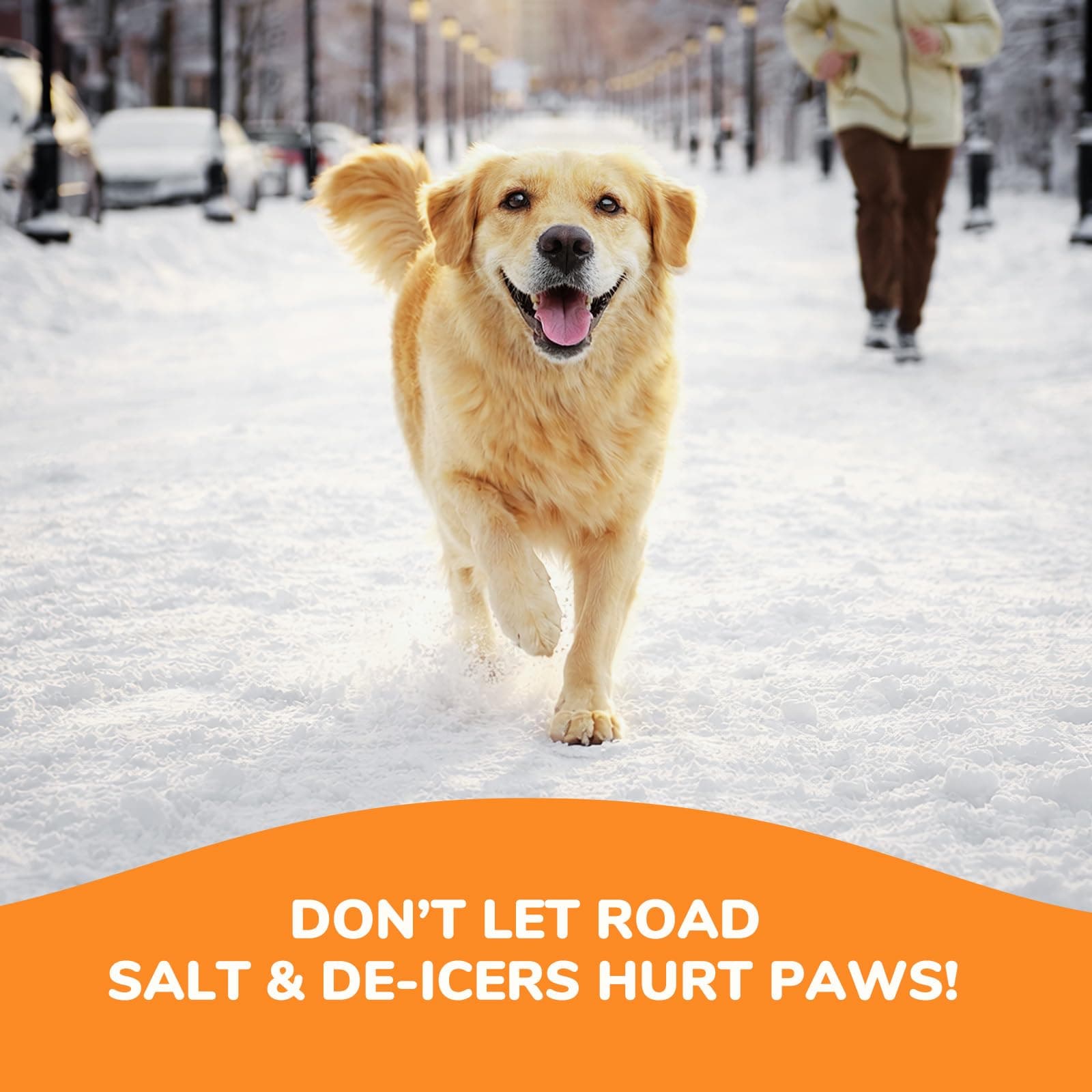 Lick-Safe Dog Paw & Nose Balm | 2.1 oz All Natural Wax with Coconut Oil & Shea Butter | Winter Snow, Road Salt & Hot Pavement Protector | Moisturizer for Dry, Rough Pads & Snouts - image 2