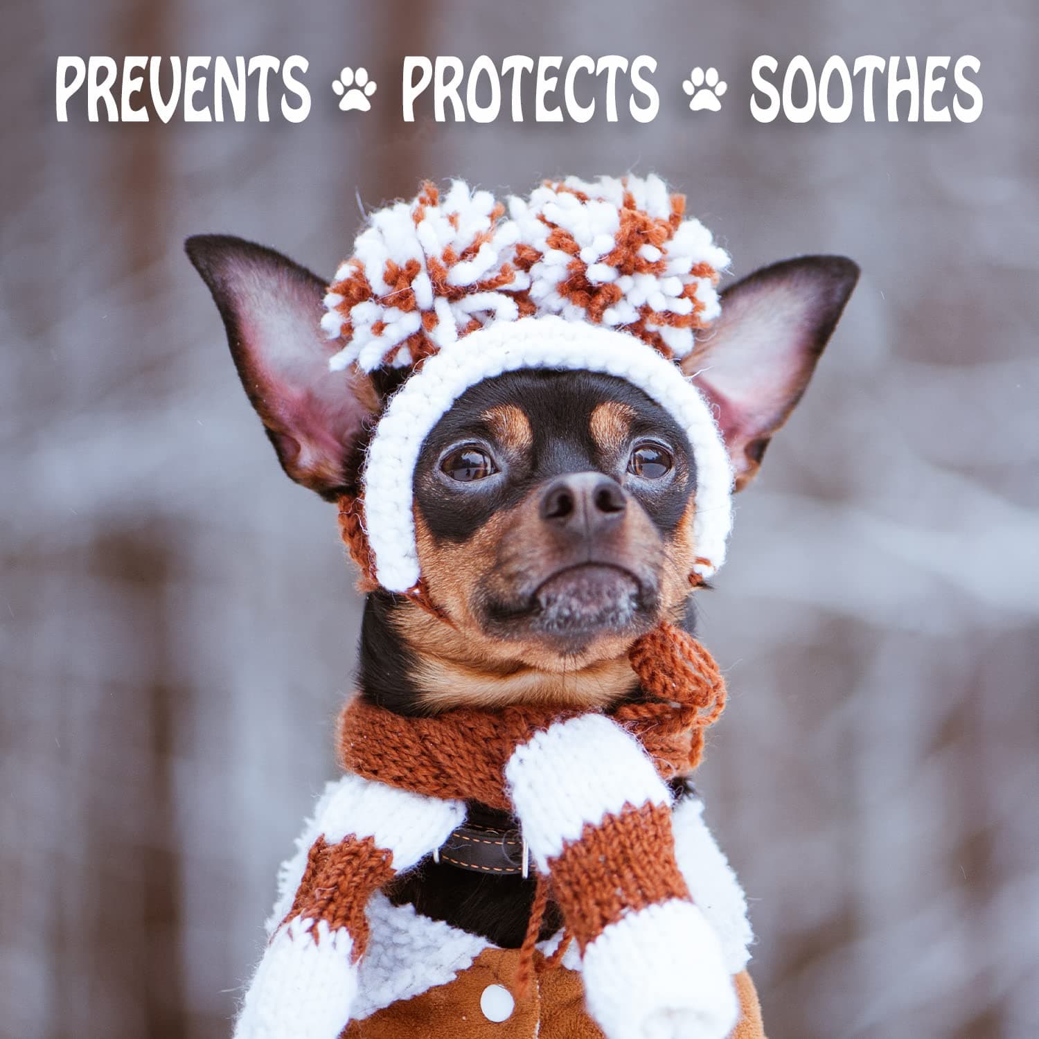 Musher’s Secret Dog Paw Wax 200g – Natural Paw Balm for Dogs with Vitamin E – Helps Protect Paws from Hot Pavement, Ice & Salt – Moisturizes Cracked Pads – Lick-Safe, Non-Toxic Dog Paw Protector - image 5