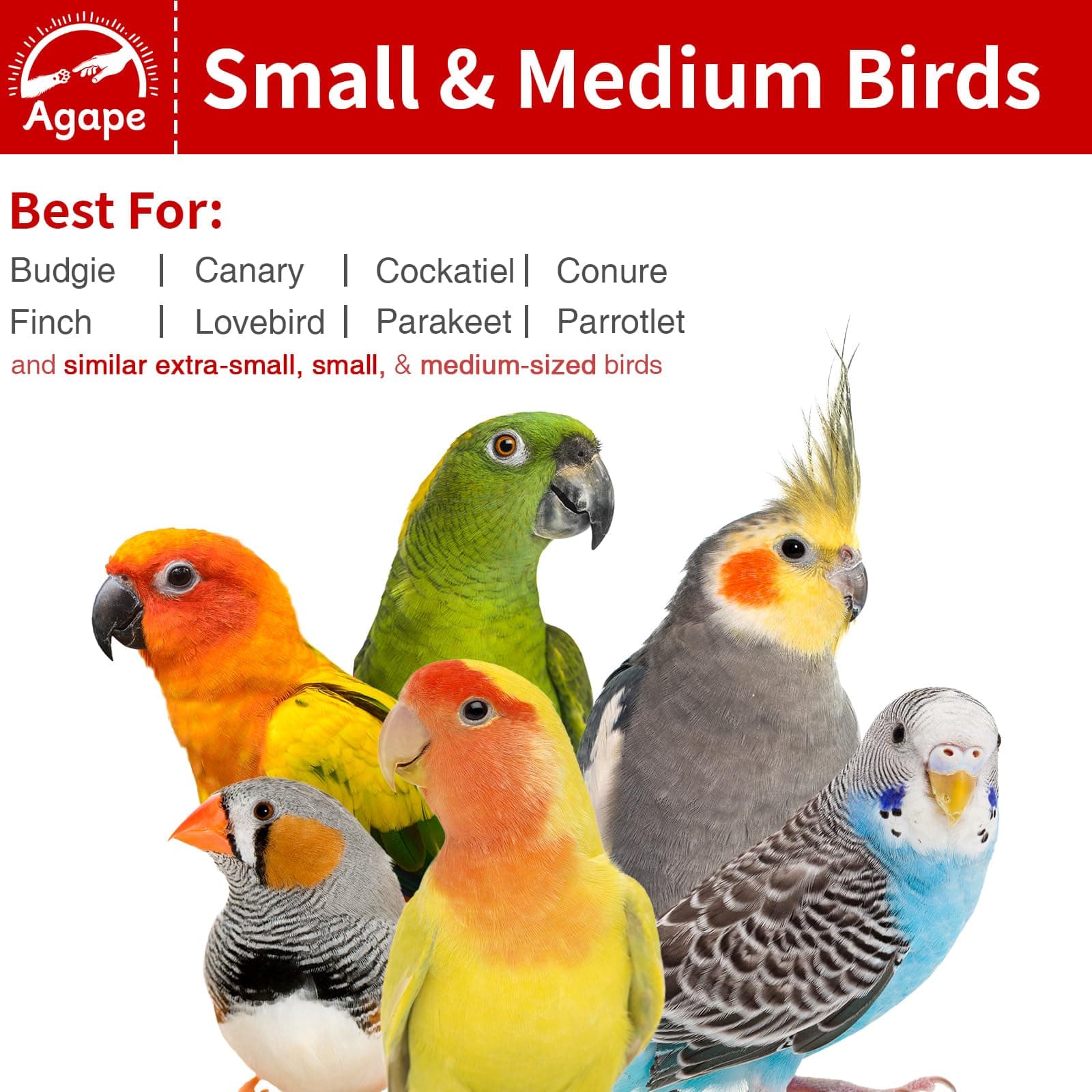 Agape Rotating Parrot Perch Toy with Chew Toy, Natural Wooden Perch Stand for Small & Medium Birds, Bird Cage Accessory with Exercise Wheel for Parakeets Cockatiels Lovebirds Conures Finches Budgies - image 5