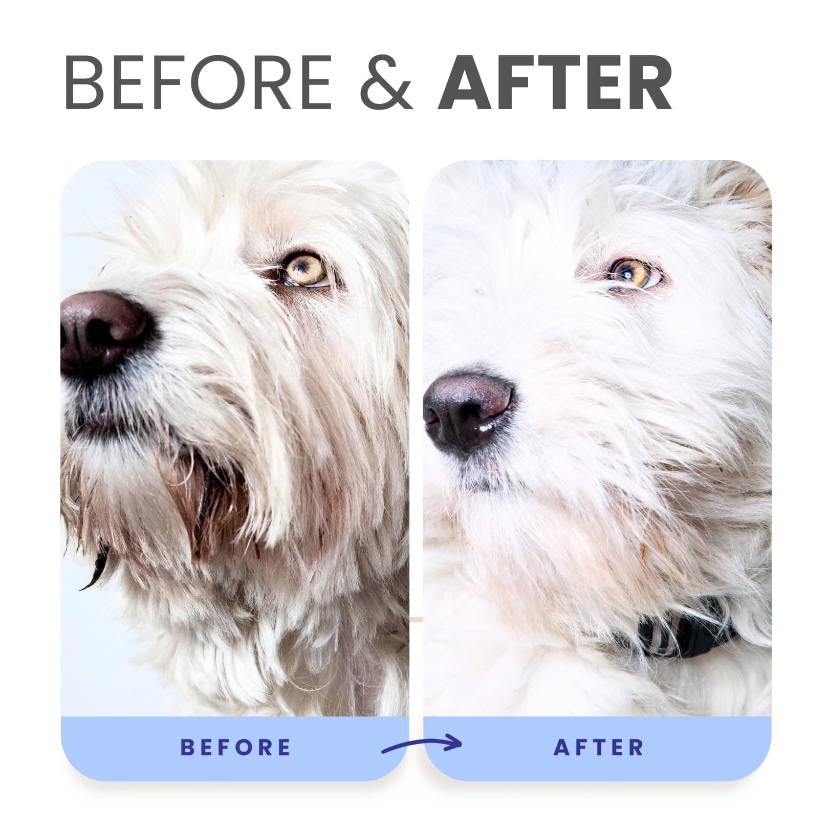 Lillian Ruff PRO Formula Berry Blue Brightening Pet Shampoo - Ultra-Hydrating Professional Whitening Dog Shampoo, Vivid Show-Quality Coat Enhancer, Tear Stain & Odor Eliminator, Vitamin B5, 128oz+Pump - image 6